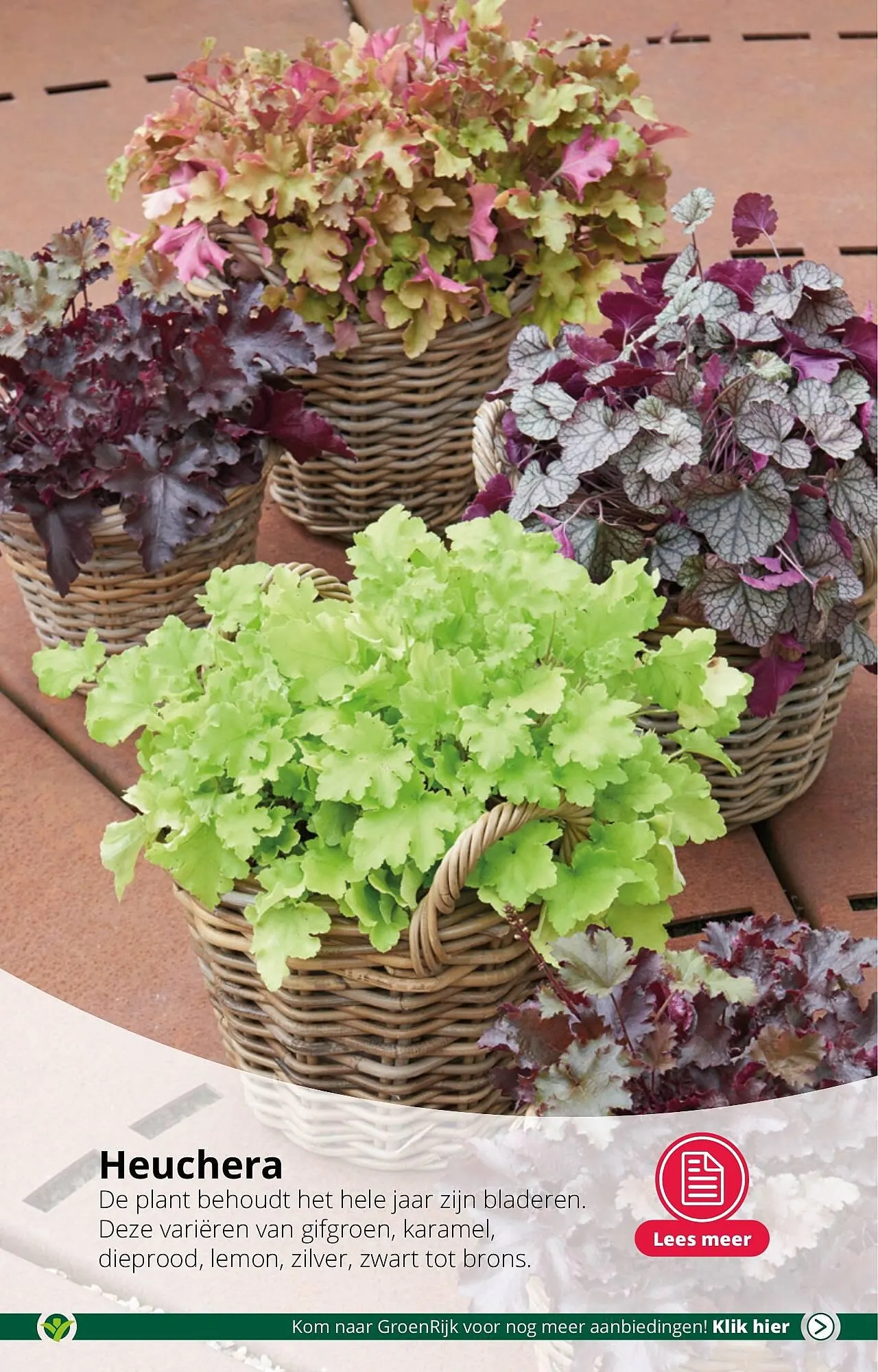 GroenRijk folder van 19 september tot 26 september 2023 - Folder pagina 3