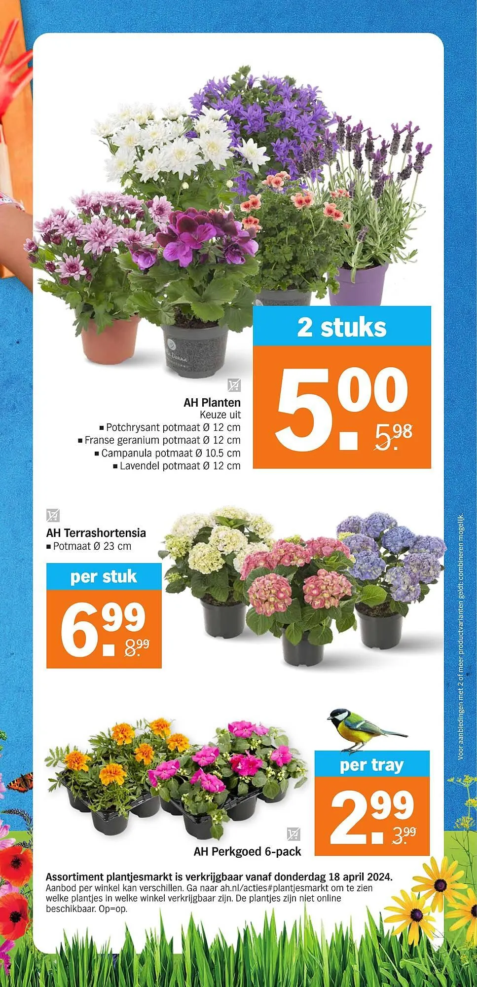Albert Heijn folder week 16 van 15 april tot 21 april 2024 - Folder pagina 29