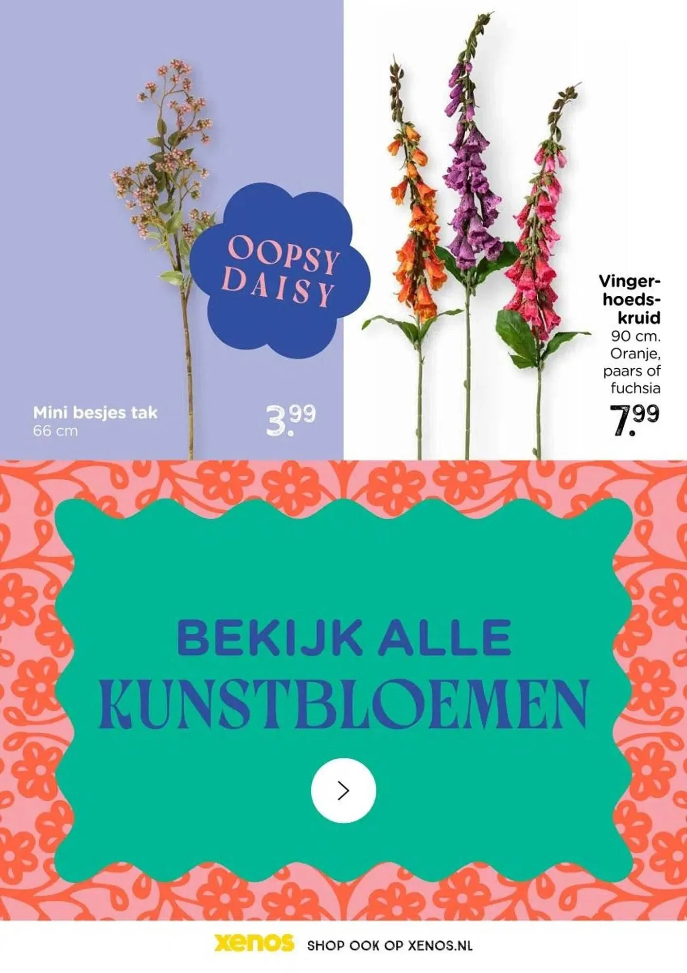 Xenos folder van 19 januari tot 19 april 2026 - Folder pagina 75