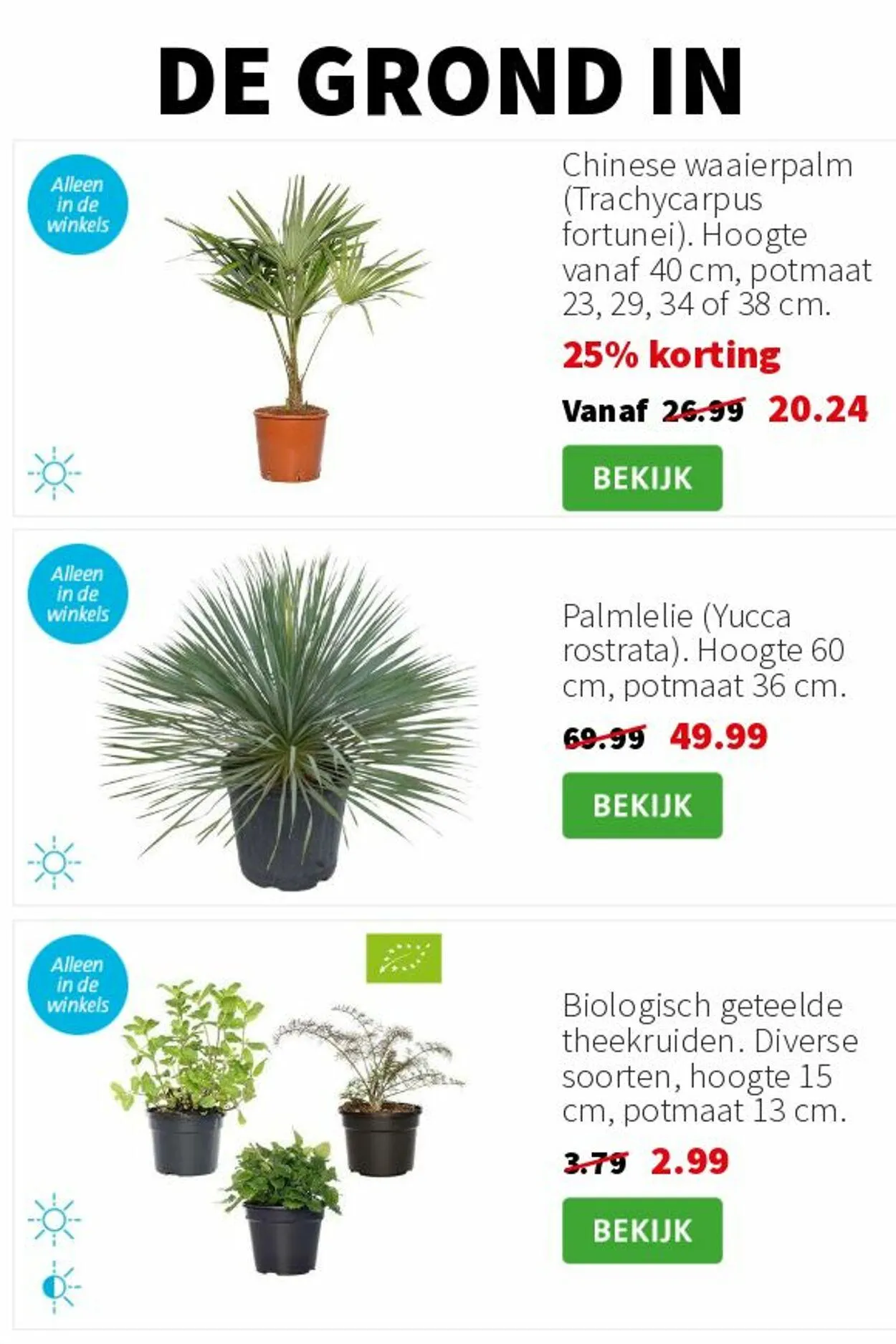 Intratuin van 12 mei tot 18 mei 2025 - Folder pagina 6