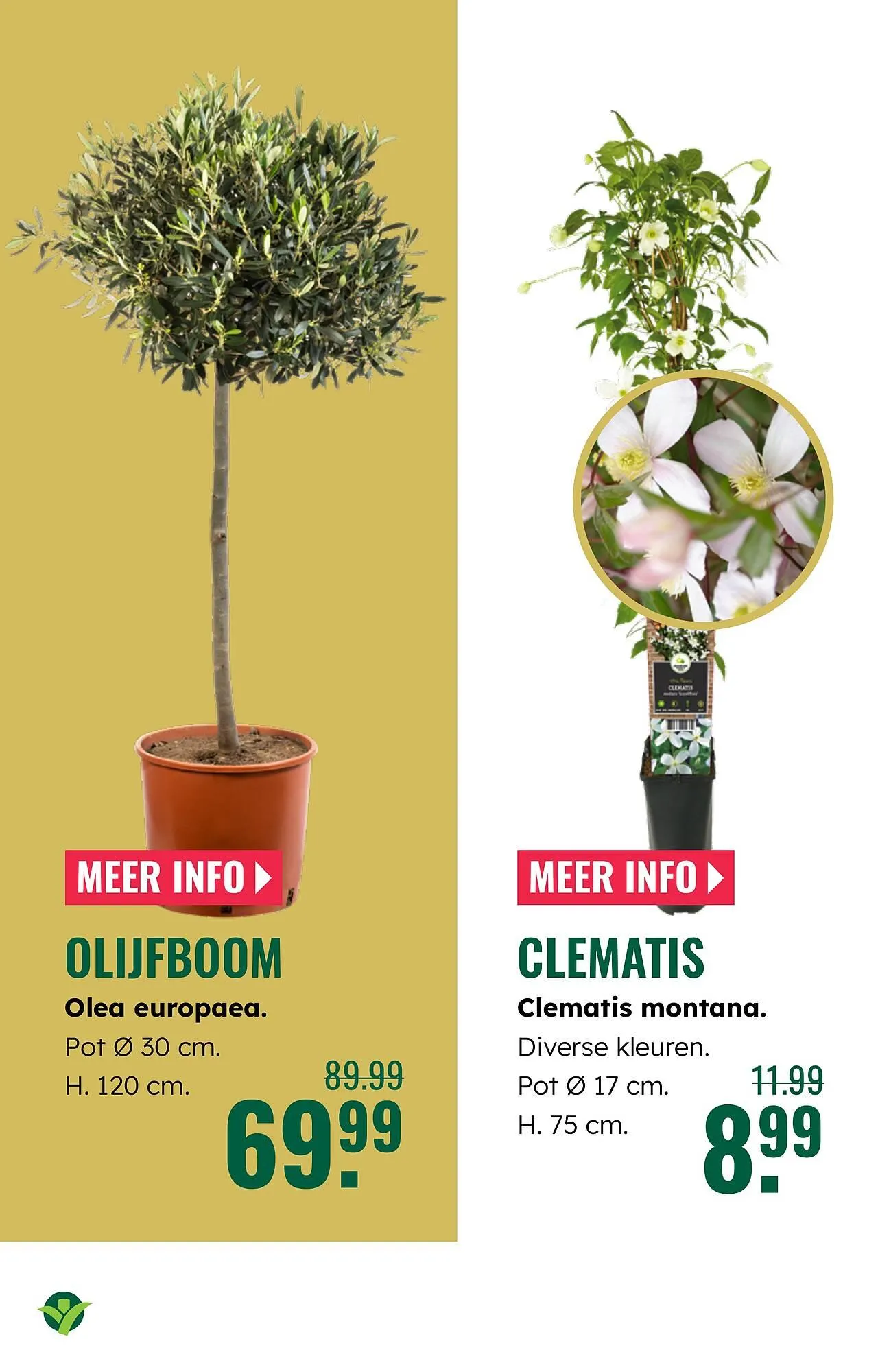 GroenRijk folder van 2 april tot 8 april 2026 - Folder pagina 7