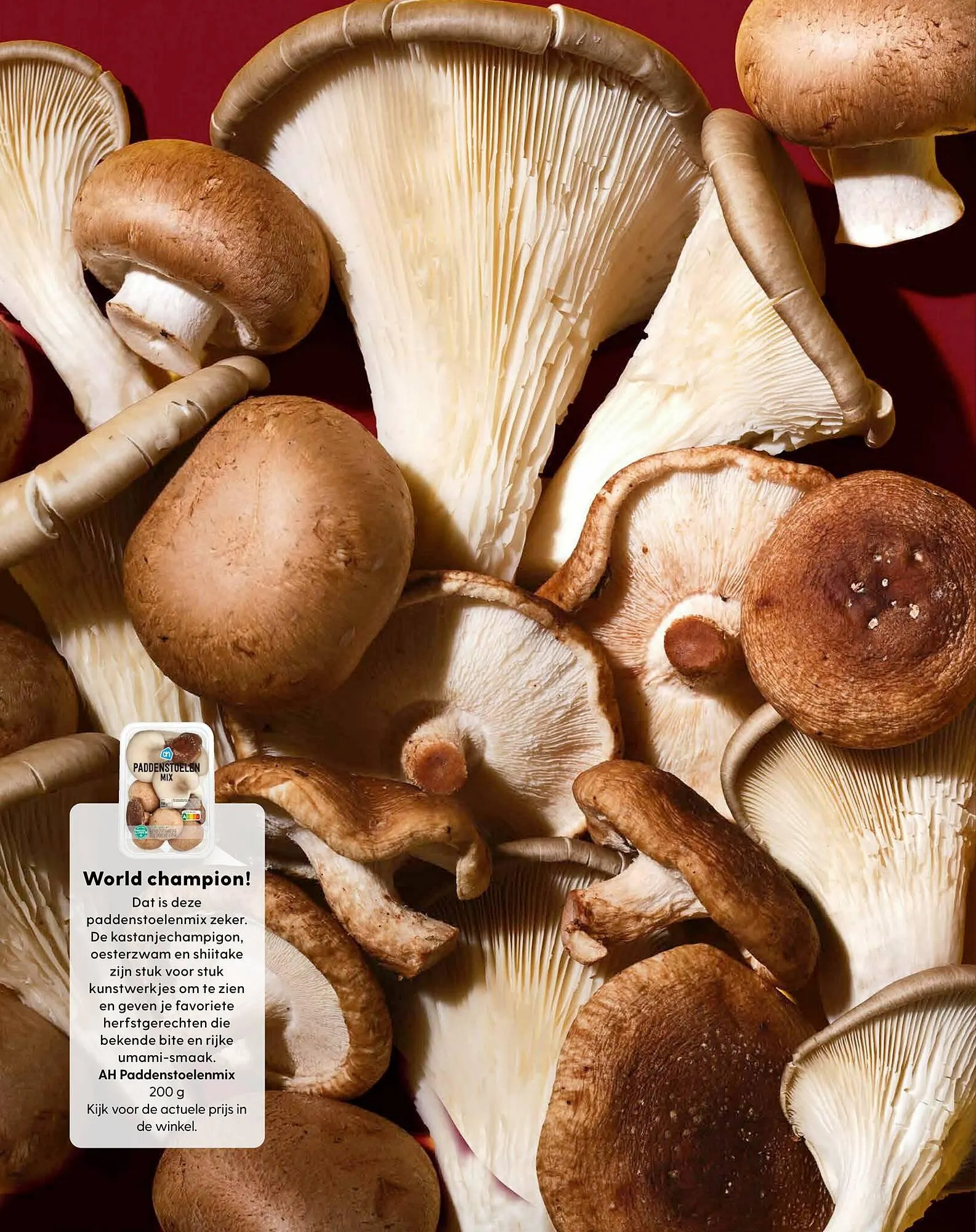 Allerhande folder van 7 oktober tot 6 december 2025 - Folder pagina 8