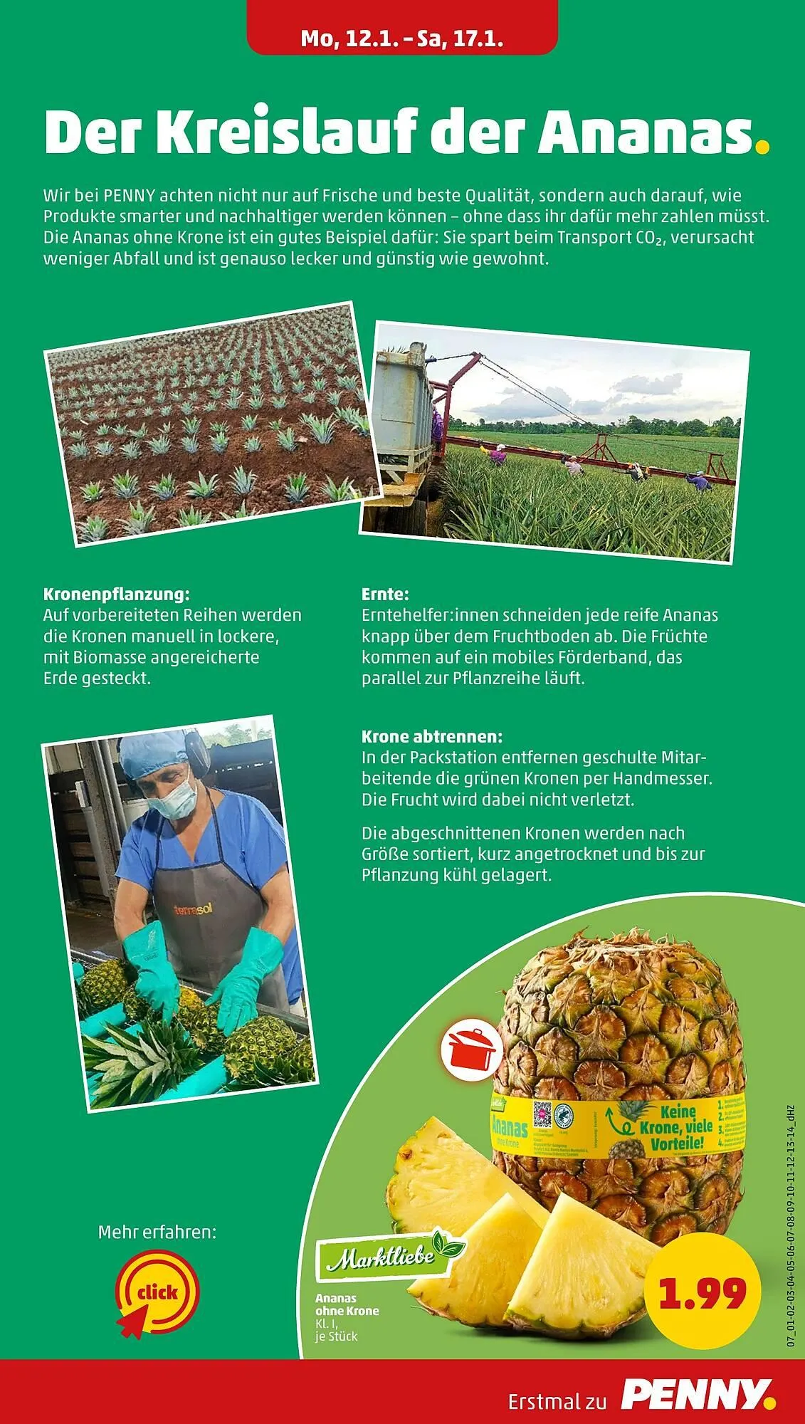 PENNY DE folder van 12 januari tot 17 januari 2026 - Folder pagina 9