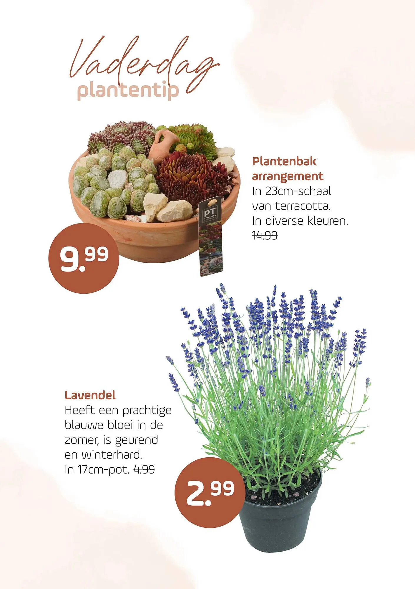 Coppelmans folder van 16 juni tot 22 juni 2025 - Folder pagina 4