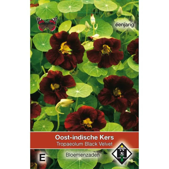 Oost-Indische Kers