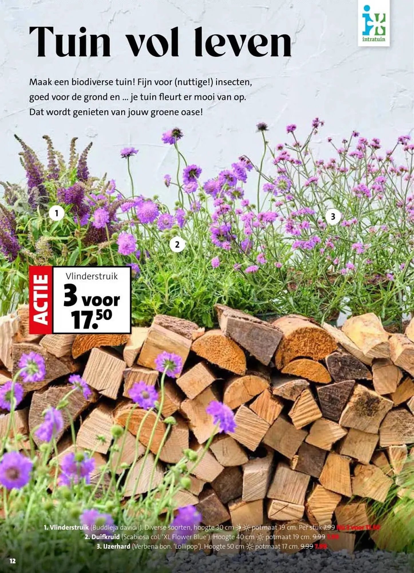 Intratuin folder van 16 maart tot 22 maart 2026 - Folder pagina 12