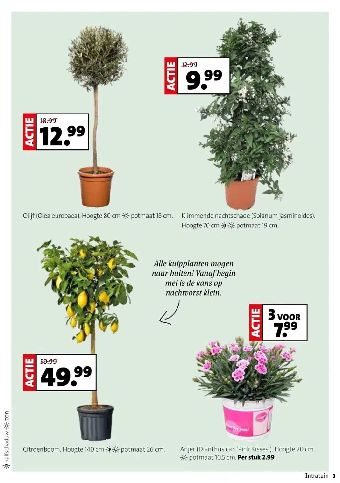 Intratuin folder van 28 april tot 4 mei 2025 - Folder pagina 3