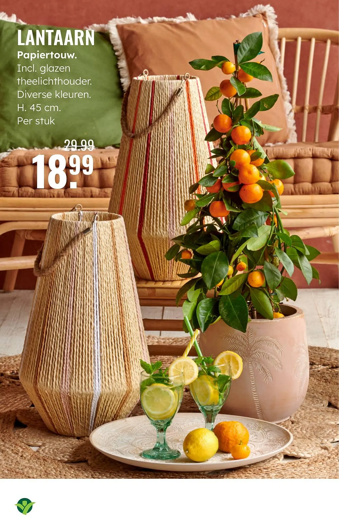 GroenRijk folder van 23 april tot 29 april 2026 - Folder pagina 9