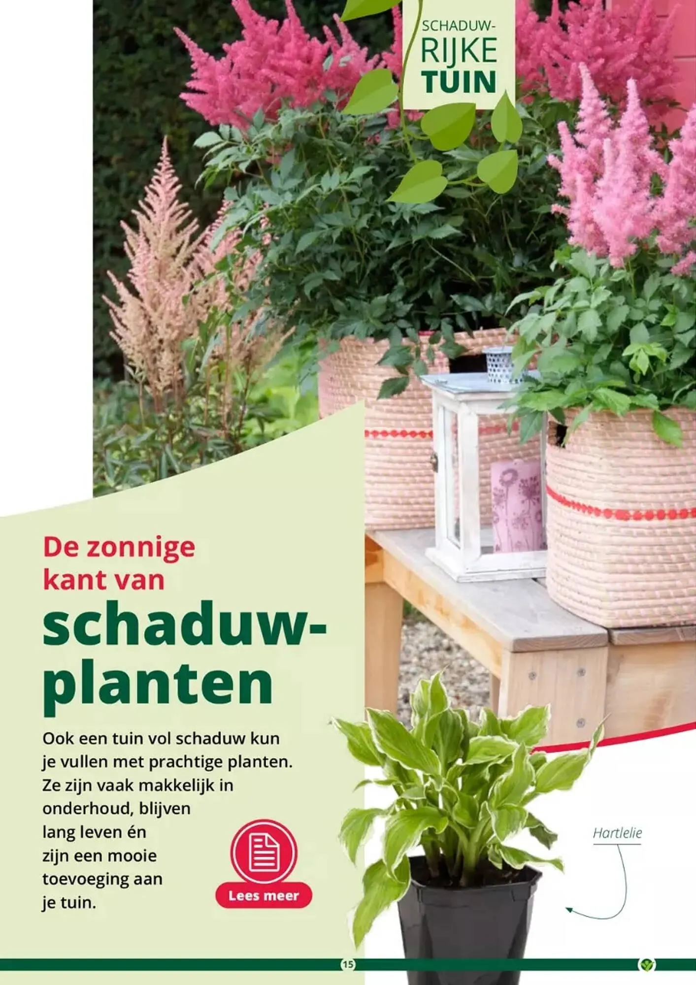 GroenRijk folder van 17 mei tot 31 augustus 2023 - Folder pagina 15