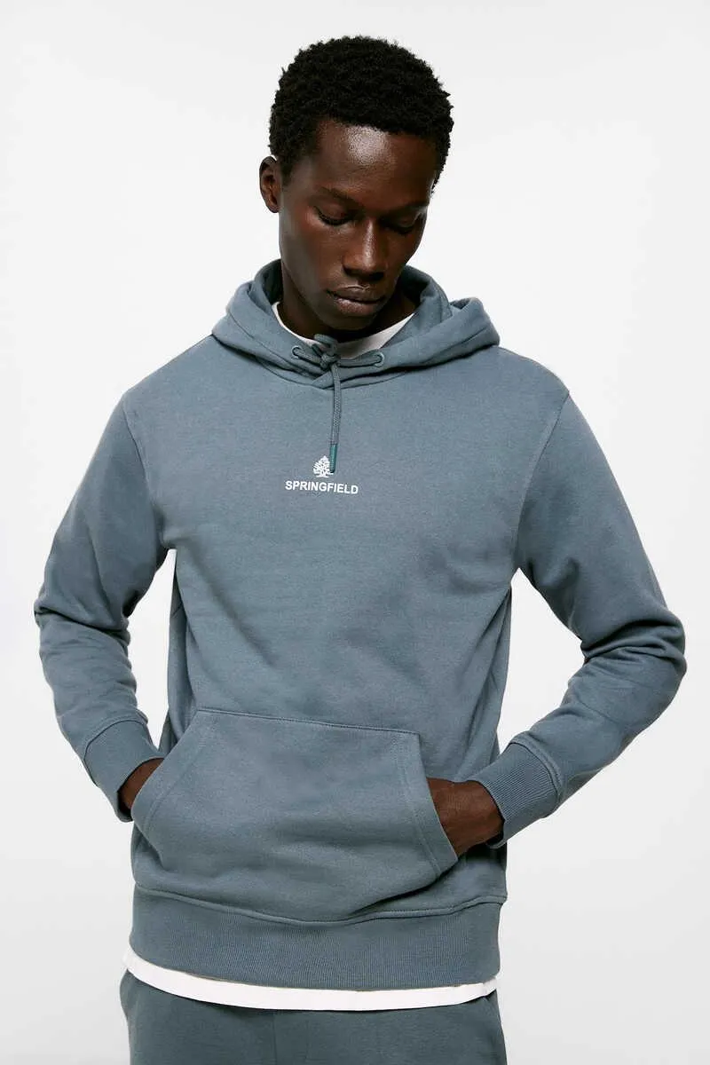 Sudadera lisa capucha logo