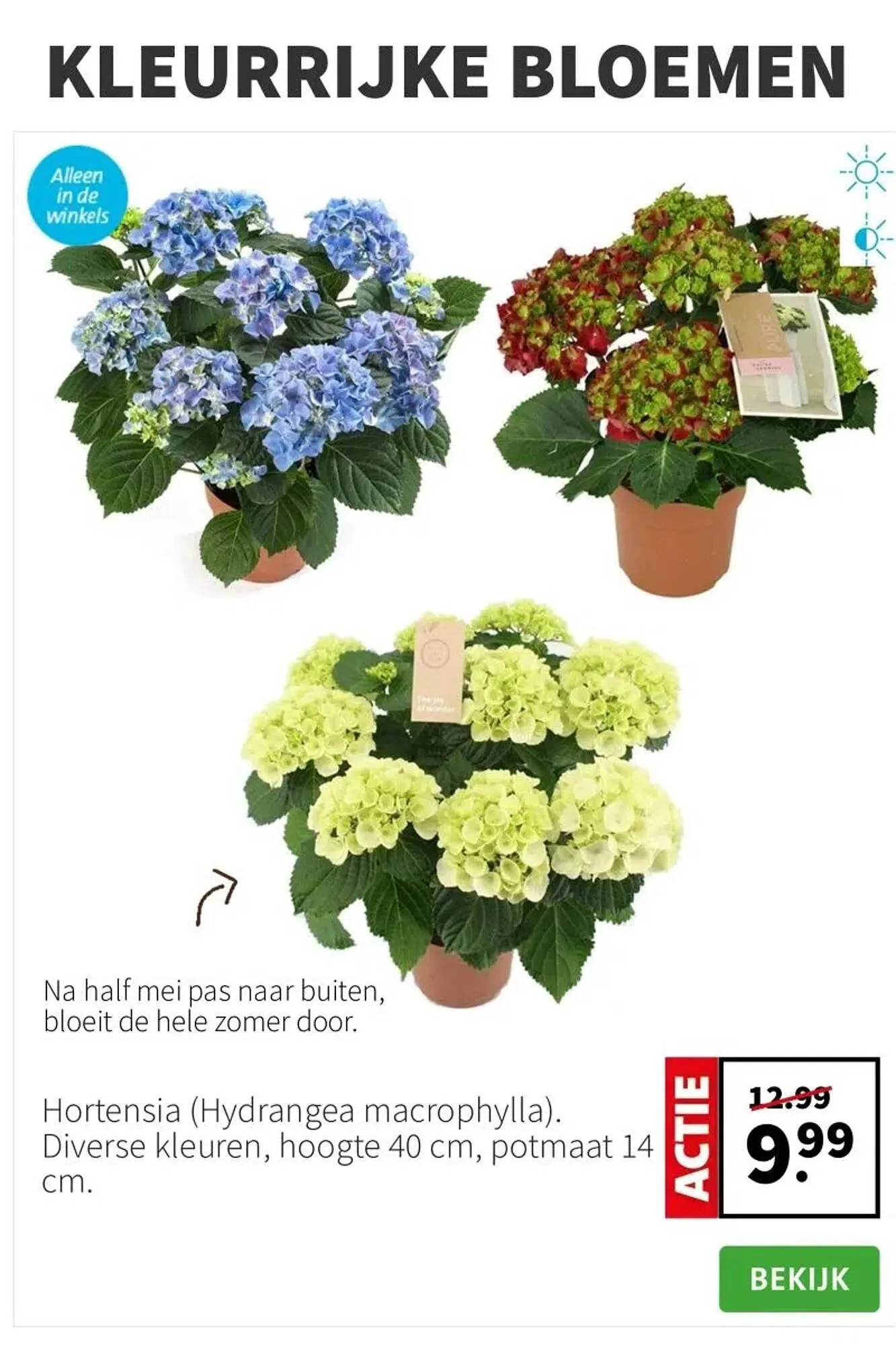 Intratuin folder van 24 maart tot 30 maart 2025 - Folder pagina 5