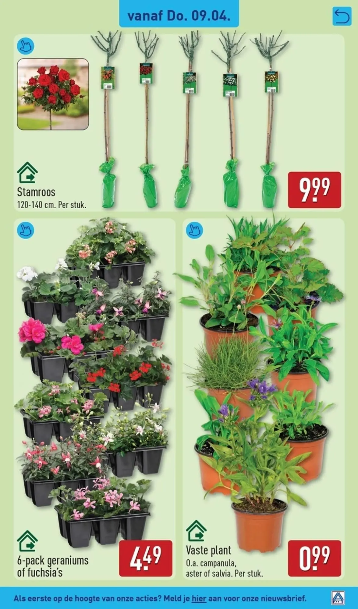 ALDI folder van 7 april tot 12 april 2026 - Folder pagina 39