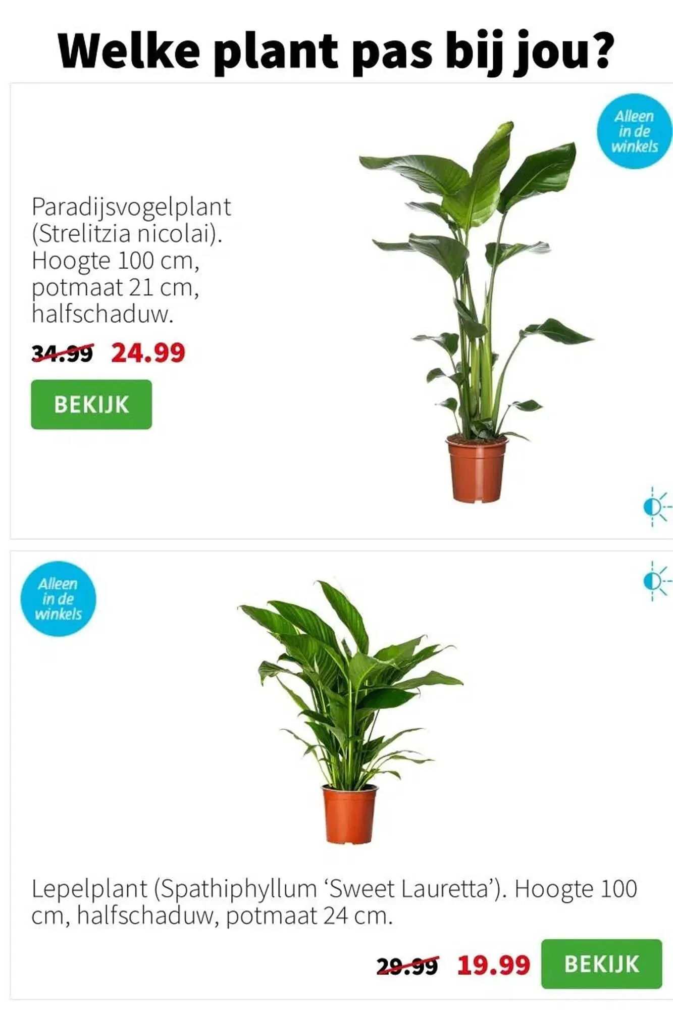 Intratuin folder van 5 januari tot 11 januari 2026 - Folder pagina 5