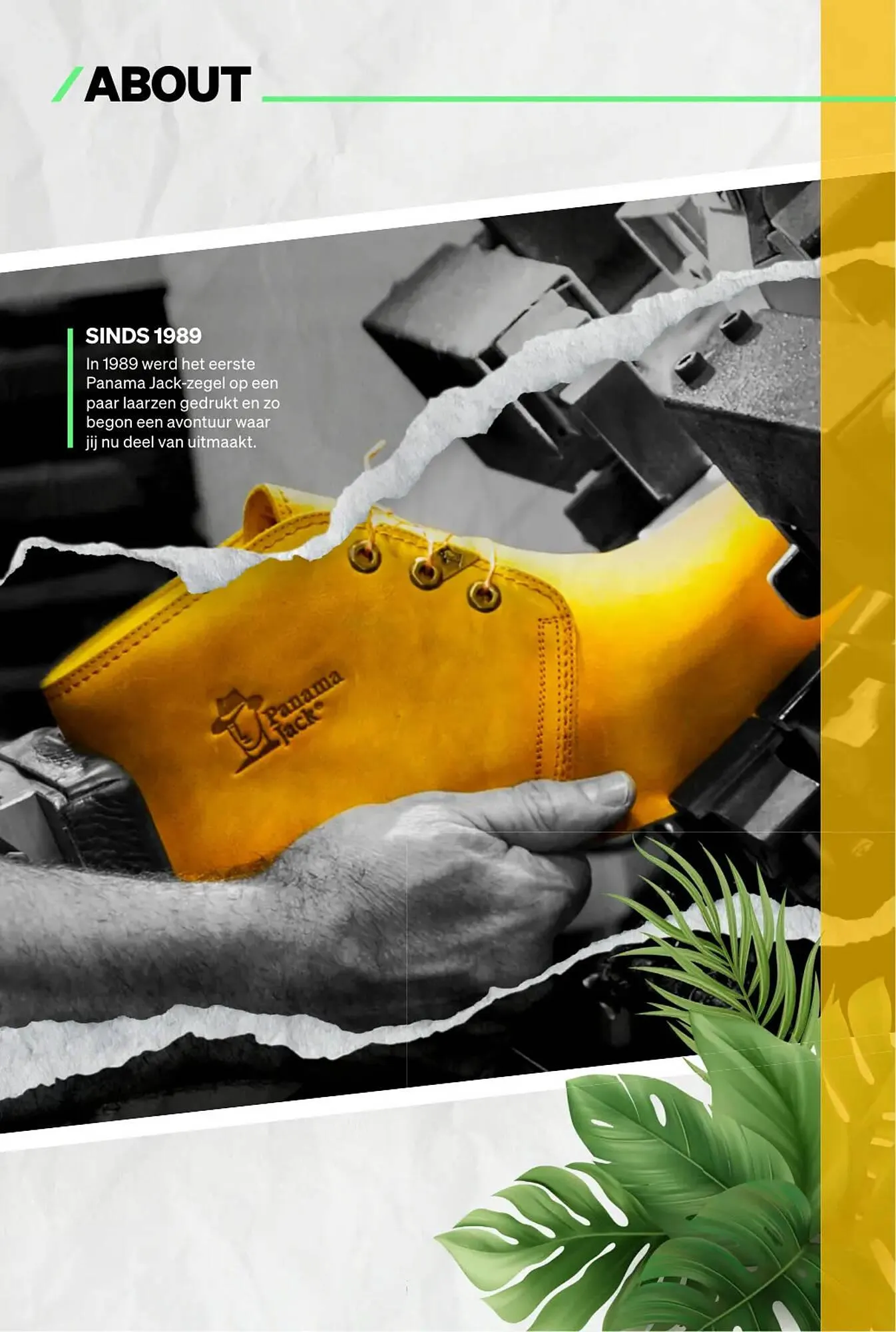 Ziengs folder van 9 juni tot 29 juni 2025 - Folder pagina 4