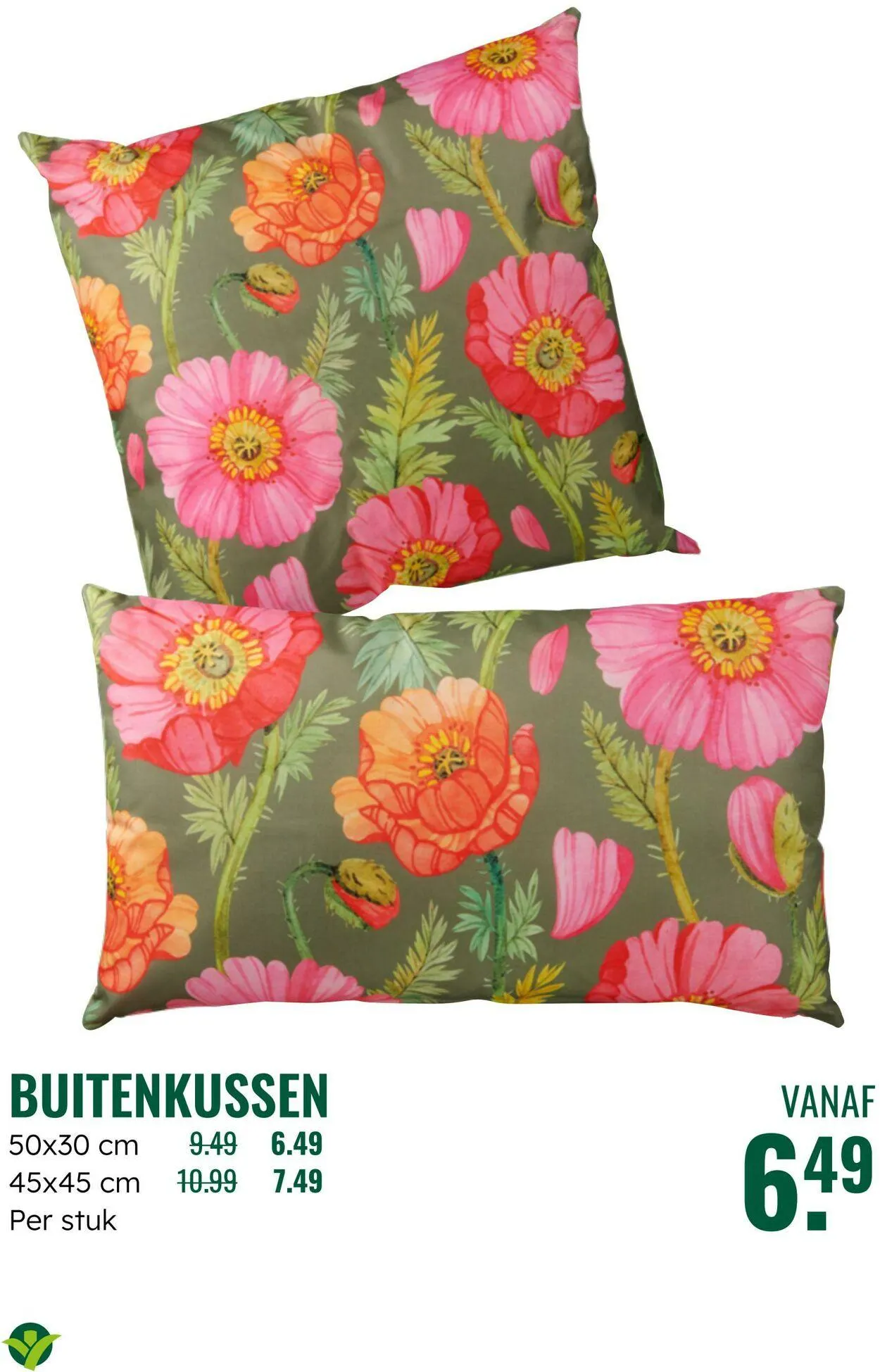 GroenRijk Actuele folder van 5 augustus tot 19 augustus 2025 - Folder pagina 7