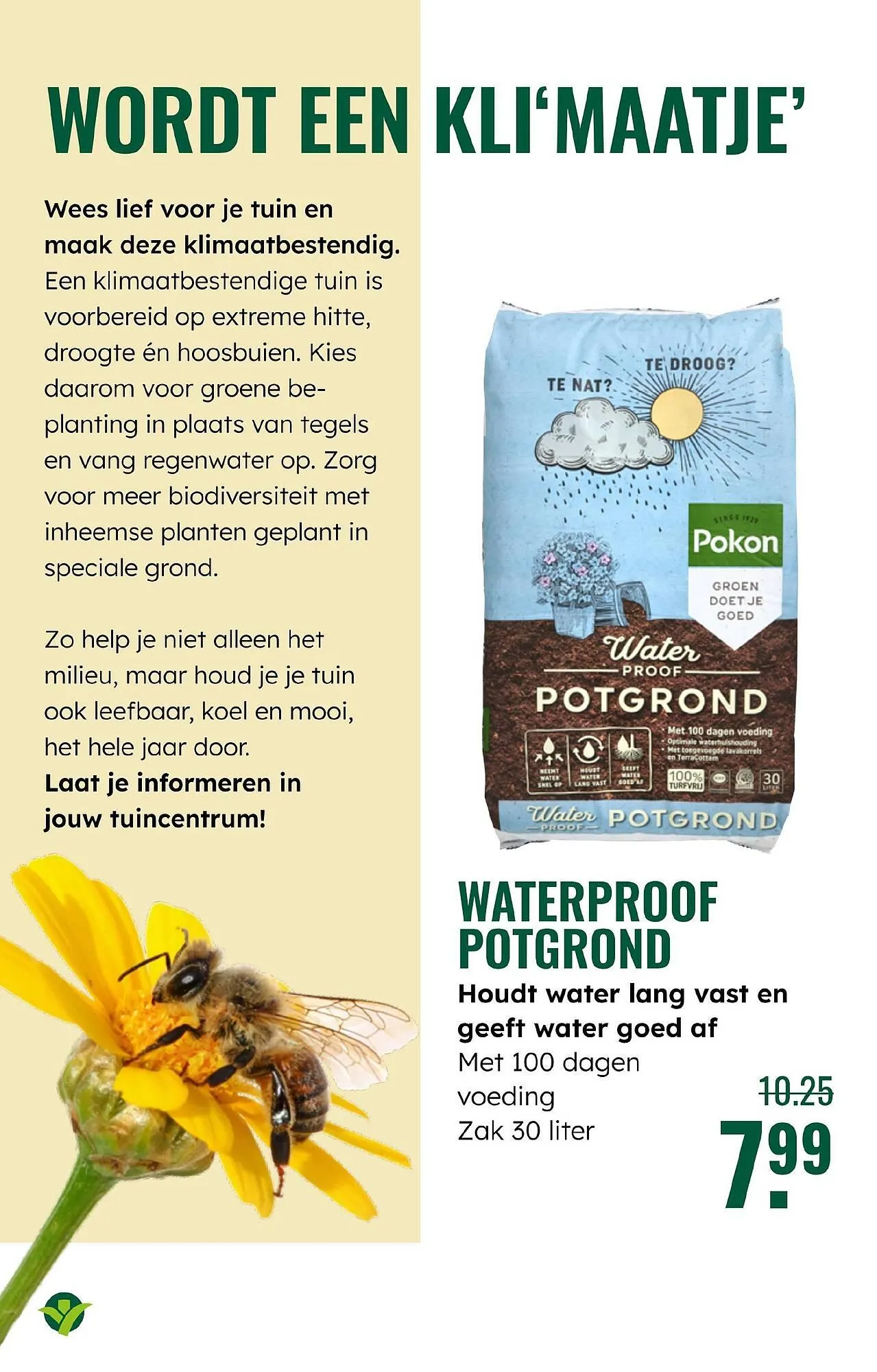 GroenRijk folder van 4 juni tot 17 juni 2025 - Folder pagina 6