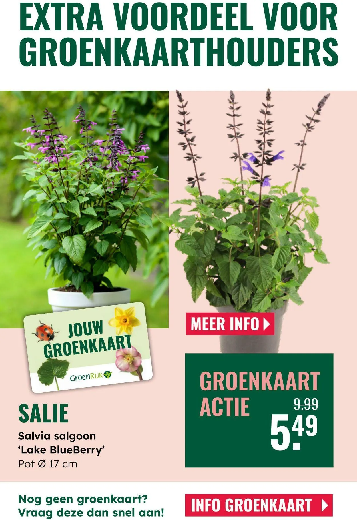 GroenRijk Actuele folder van 16 september tot 30 september 2025 - Folder pagina 10