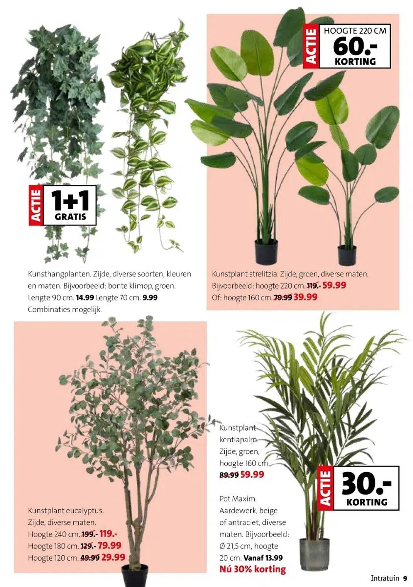 Intratuin folder van 29 december tot 4 januari 2026 - Folder pagina 9