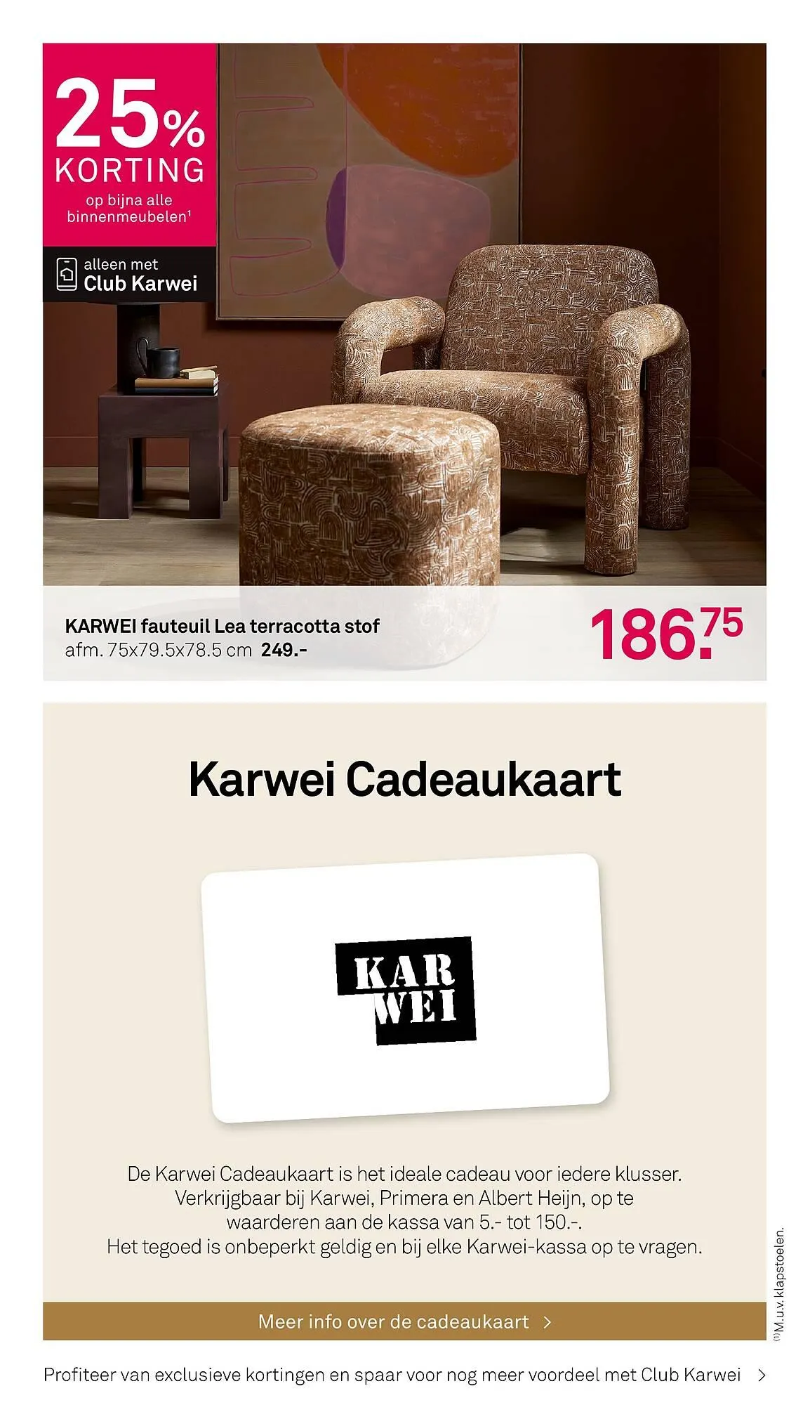 Karwei folder van 16 februari tot 1 maart 2026 - Folder pagina 19