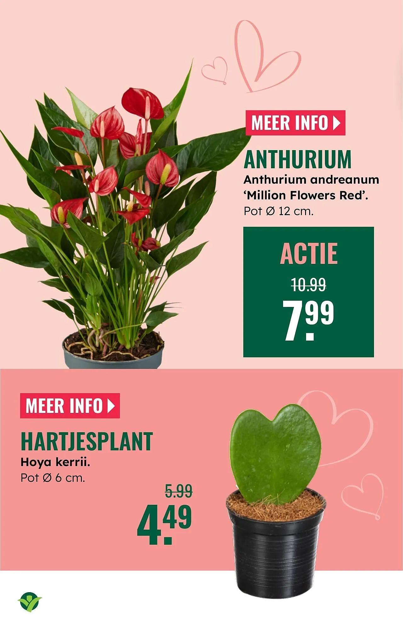 GroenRijk folder van 12 februari tot 18 februari 2026 - Folder pagina 14