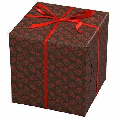 Cadeaupapier - 10 meter - bruin/rode bessen