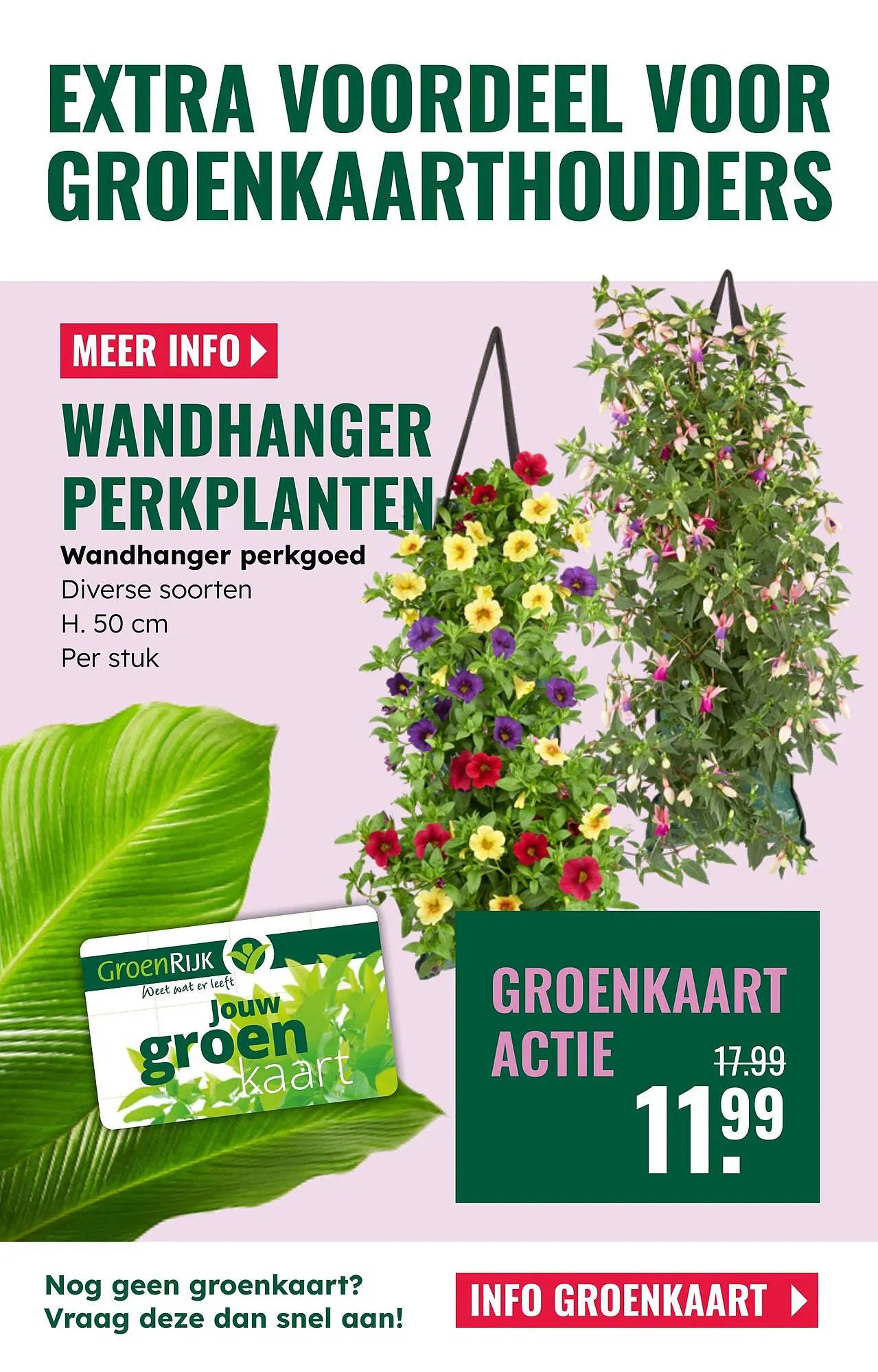 GroenRijk folder van 16 april tot 29 april 2025 - Folder pagina 11