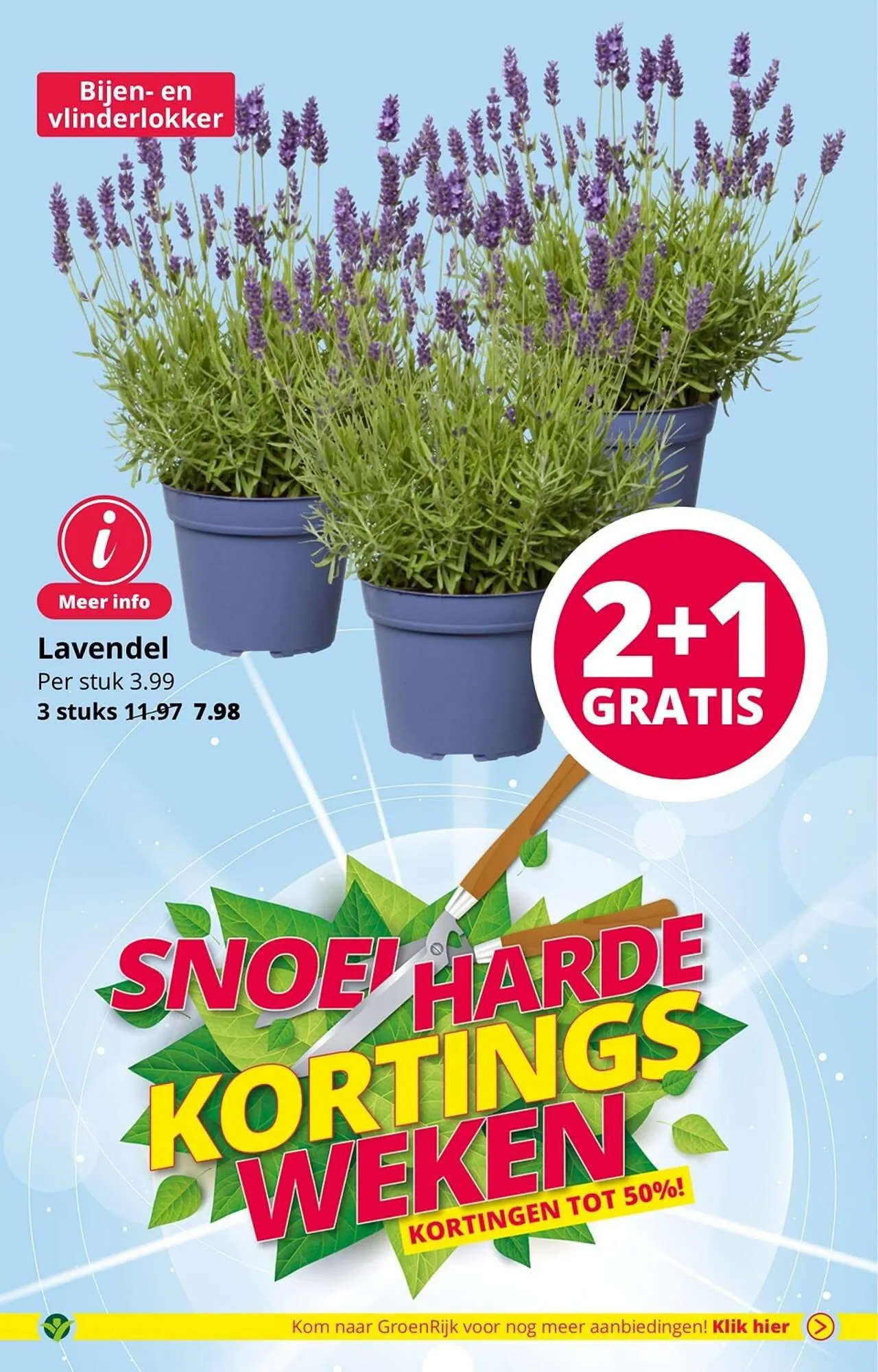 GroenRijk folder van 1 augustus tot 15 augustus 2023 - Folder pagina 11