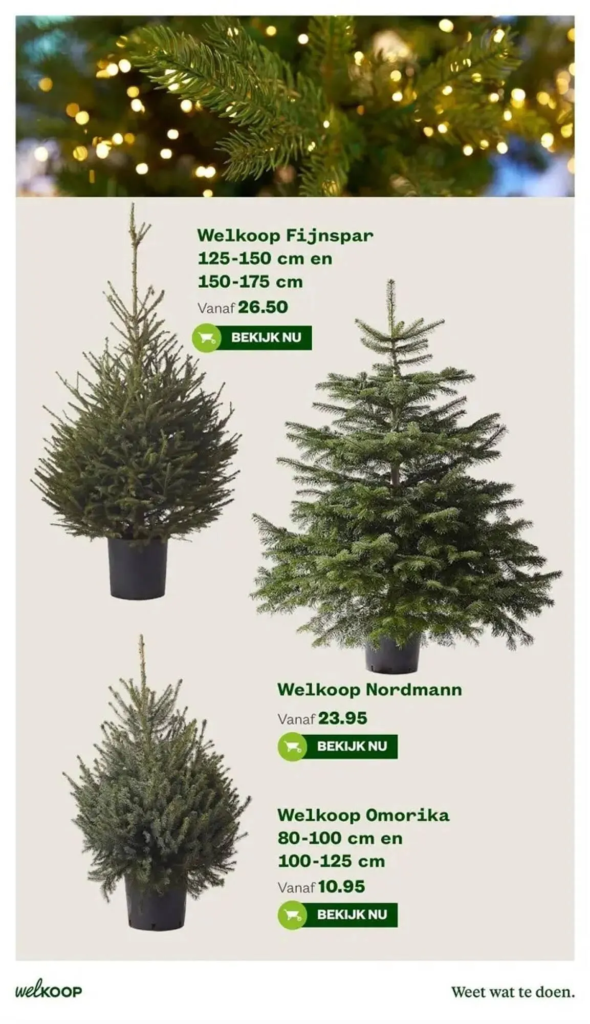 Welkoop Kerst folder van 27 november tot 10 december 2023 - Folder pagina 3