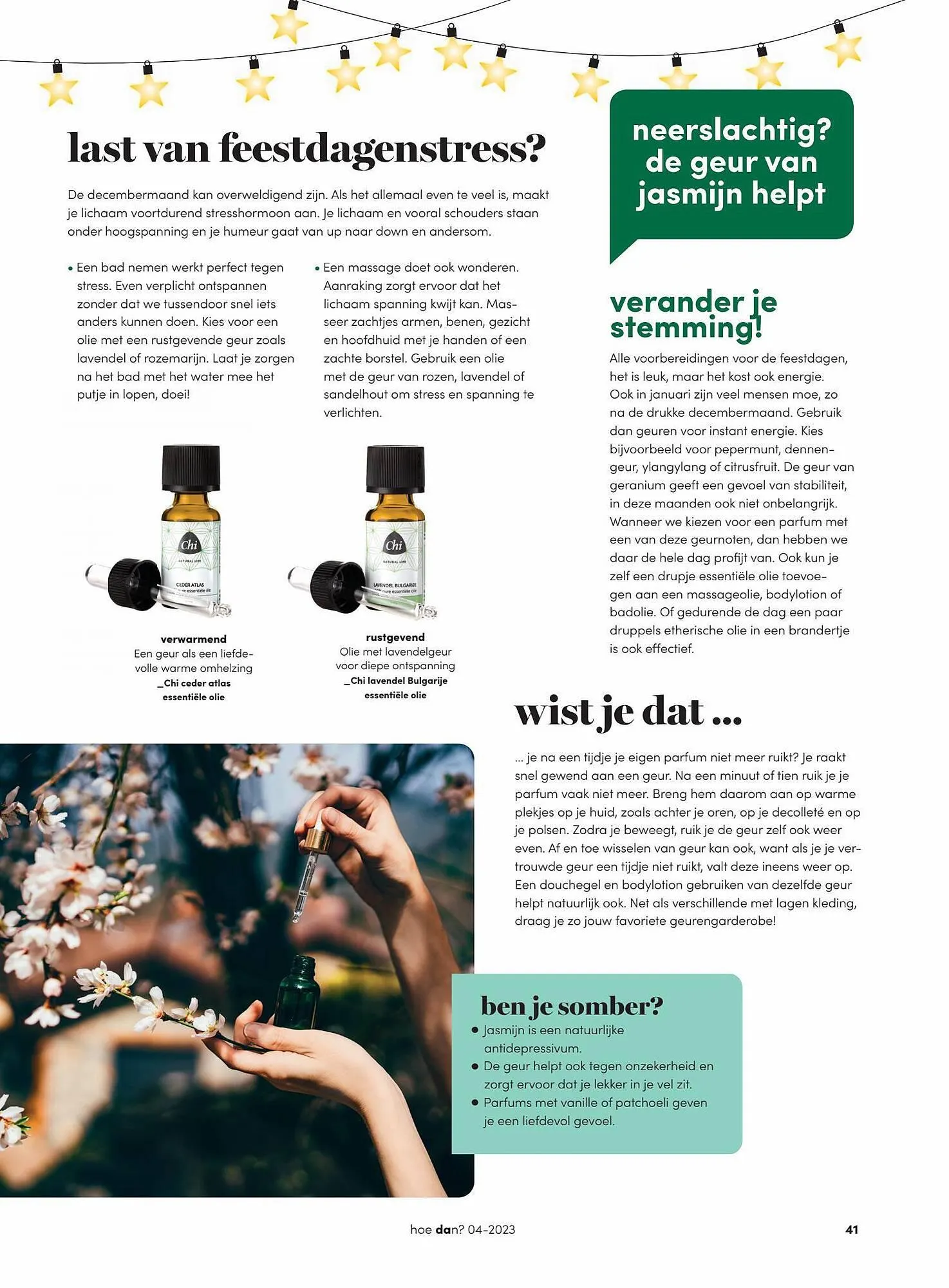 DA folder van 13 november tot 31 december 2023 - Folder pagina 41