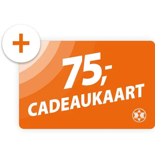 Samsung Neo QLED 4K 50QN93D (2024)