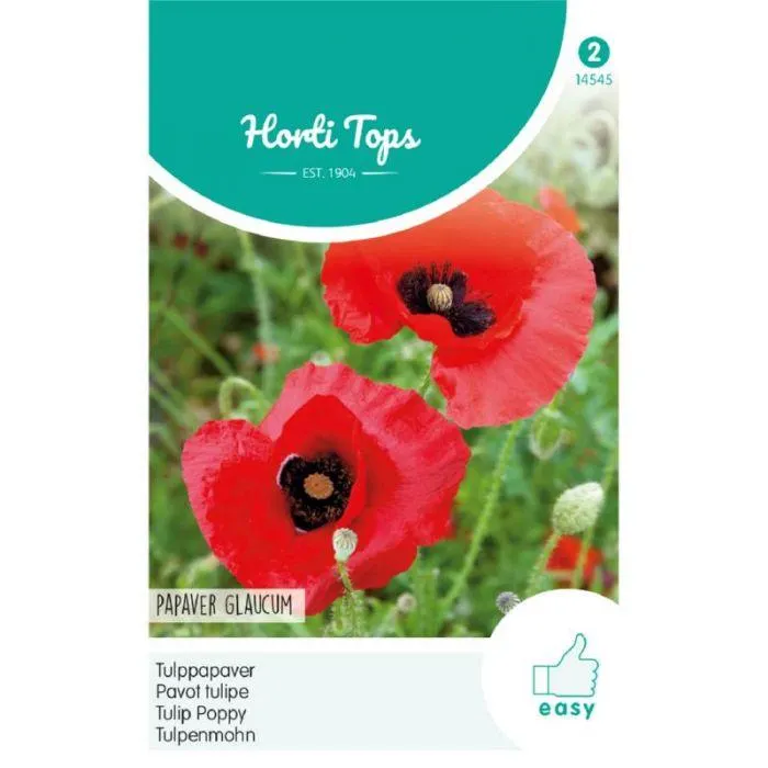 Papaver - Tulppapaver