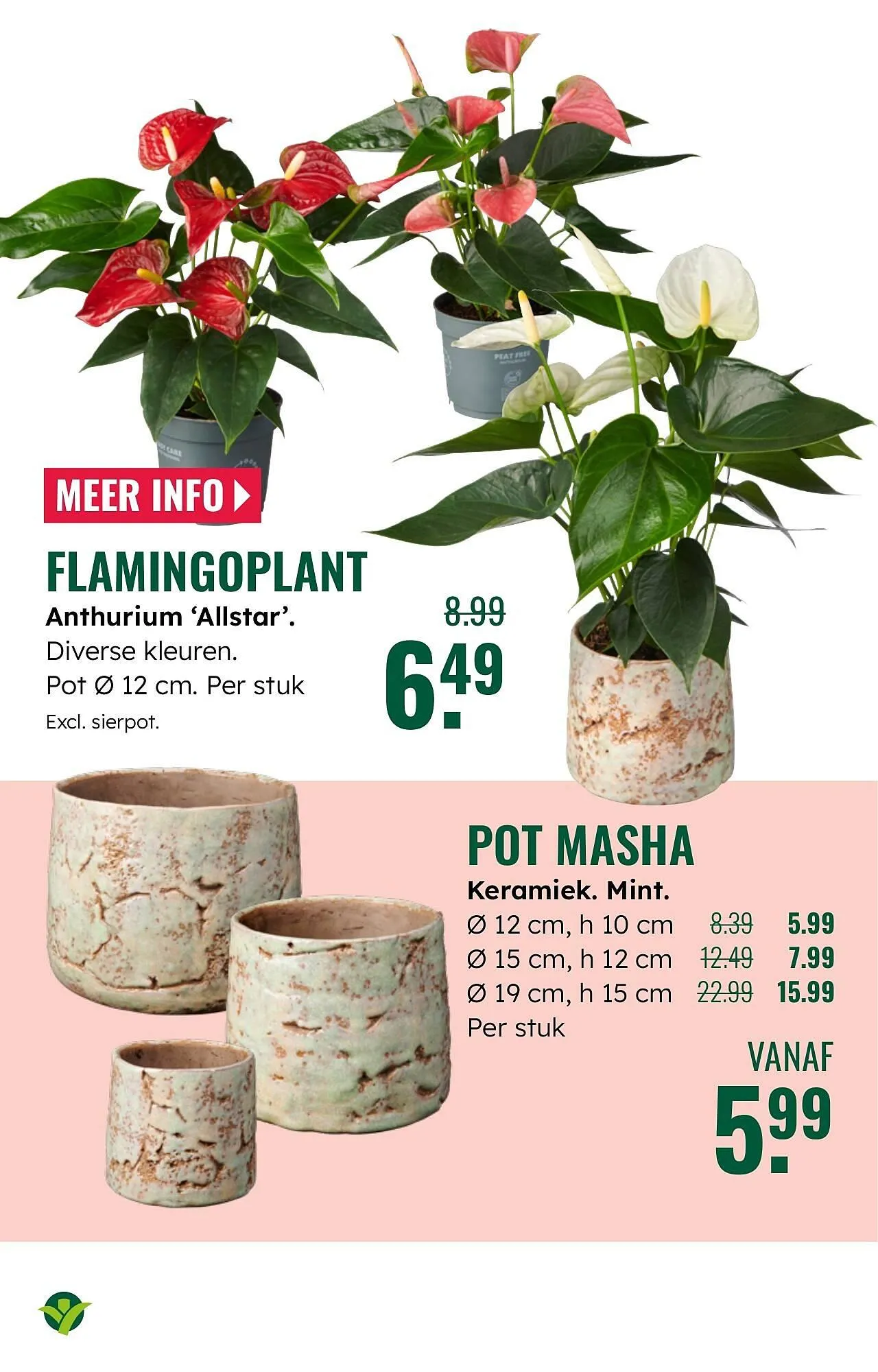 GroenRijk folder van 5 november tot 11 november 2025 - Folder pagina 18