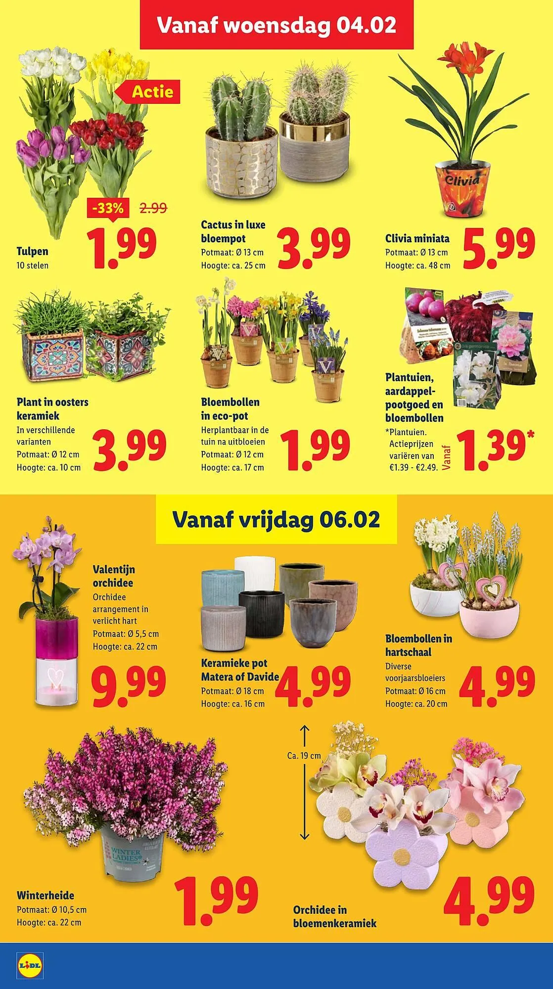 Lidl folder van 2 februari tot 7 februari 2026 - Folder pagina 17