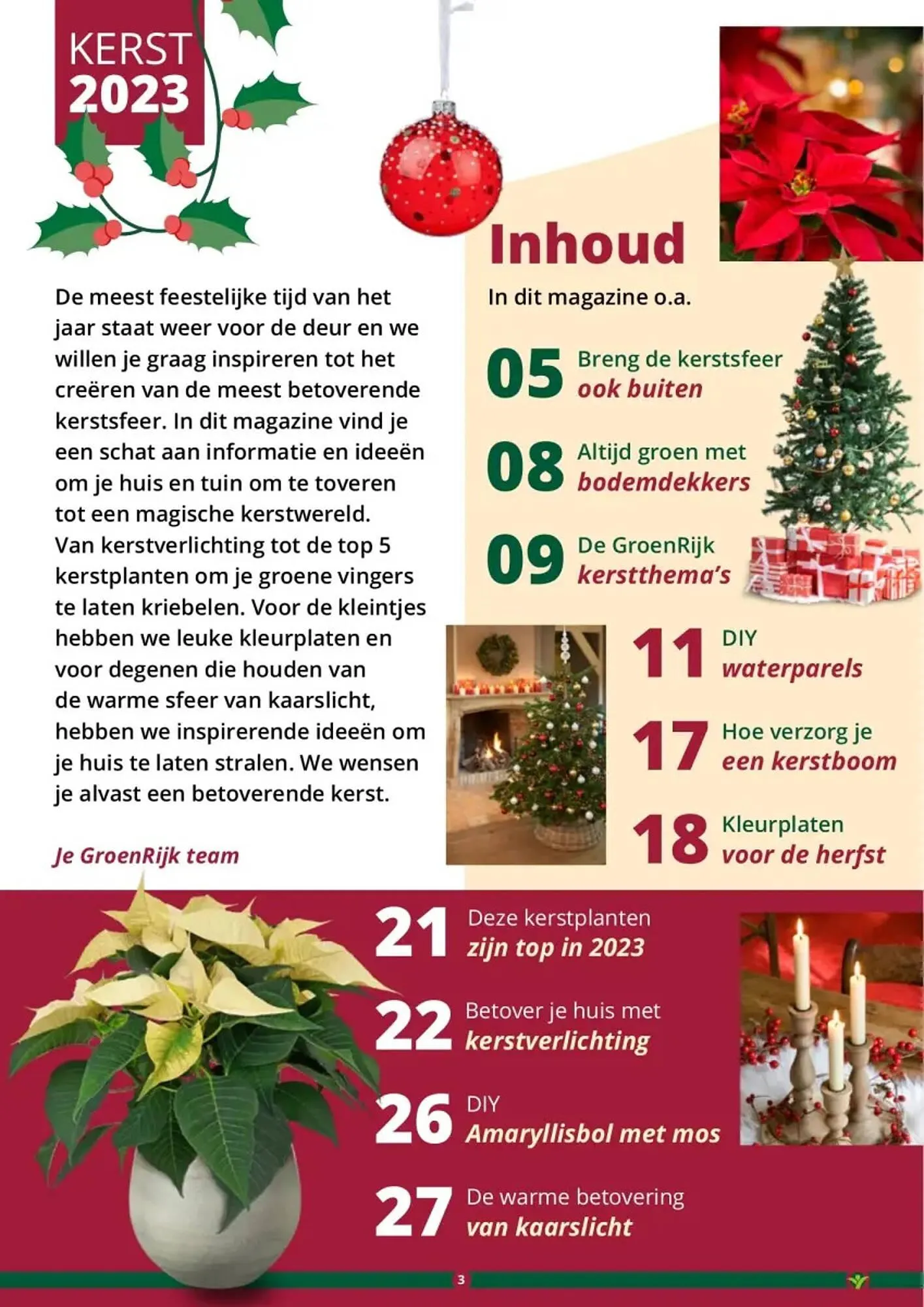 GroenRijk folder van 1 november tot 26 december 2023 - Folder pagina 3