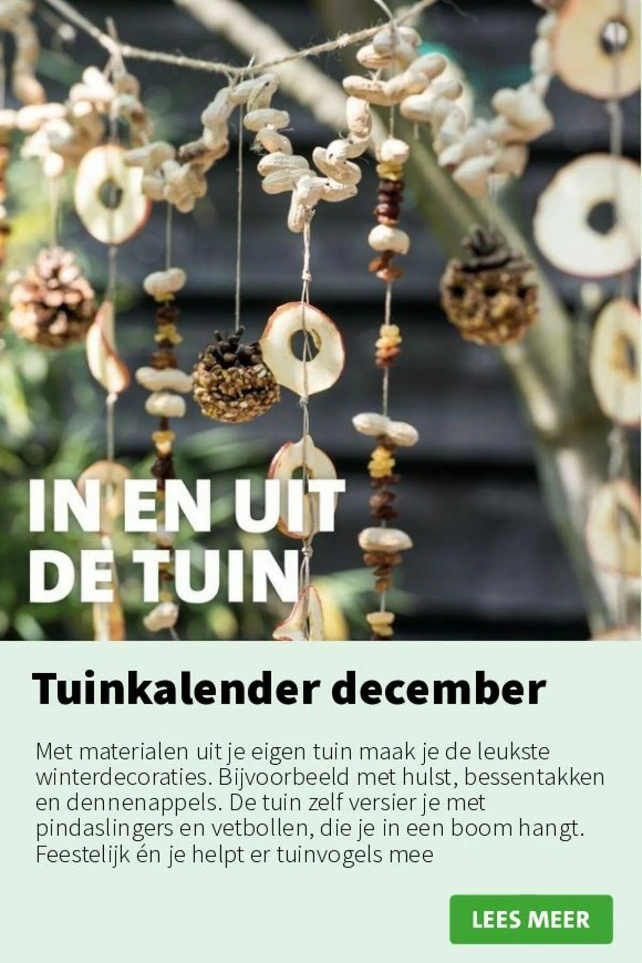 Intratuin Actuele folder van 9 februari tot 23 februari 2025 - Folder pagina 9