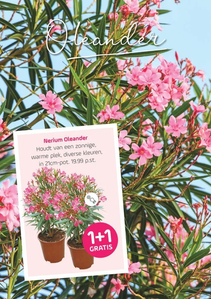 Buitenleven van 16 mei tot 30 mei 2024 - Folder pagina 4