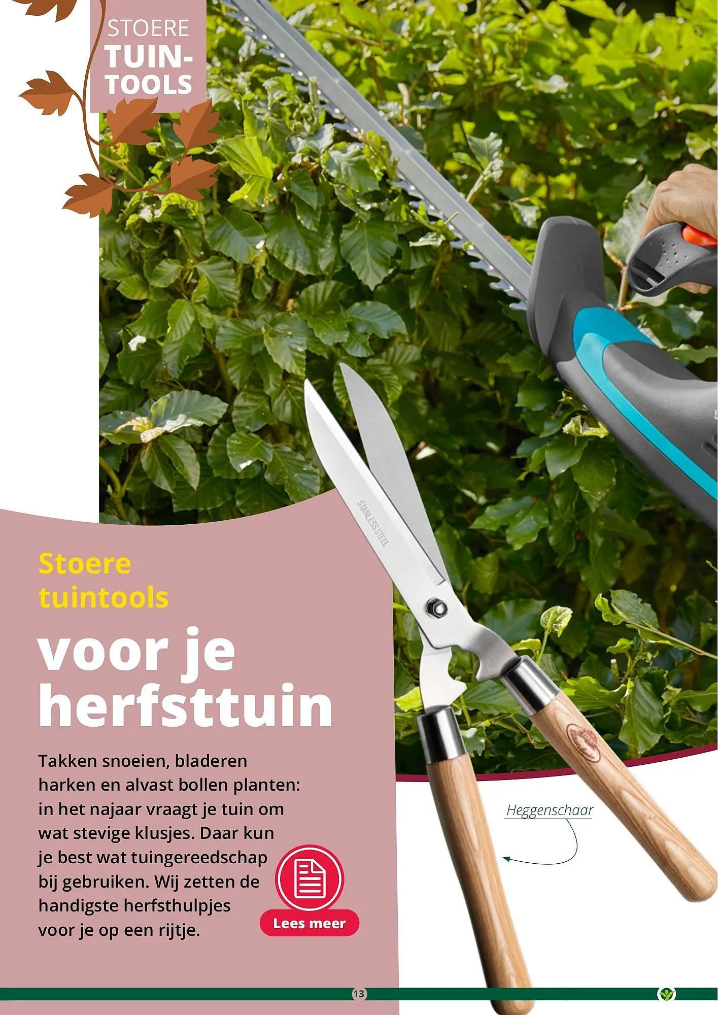 GroenRijk folder van 17 september tot 31 december 2023 - Folder pagina 13