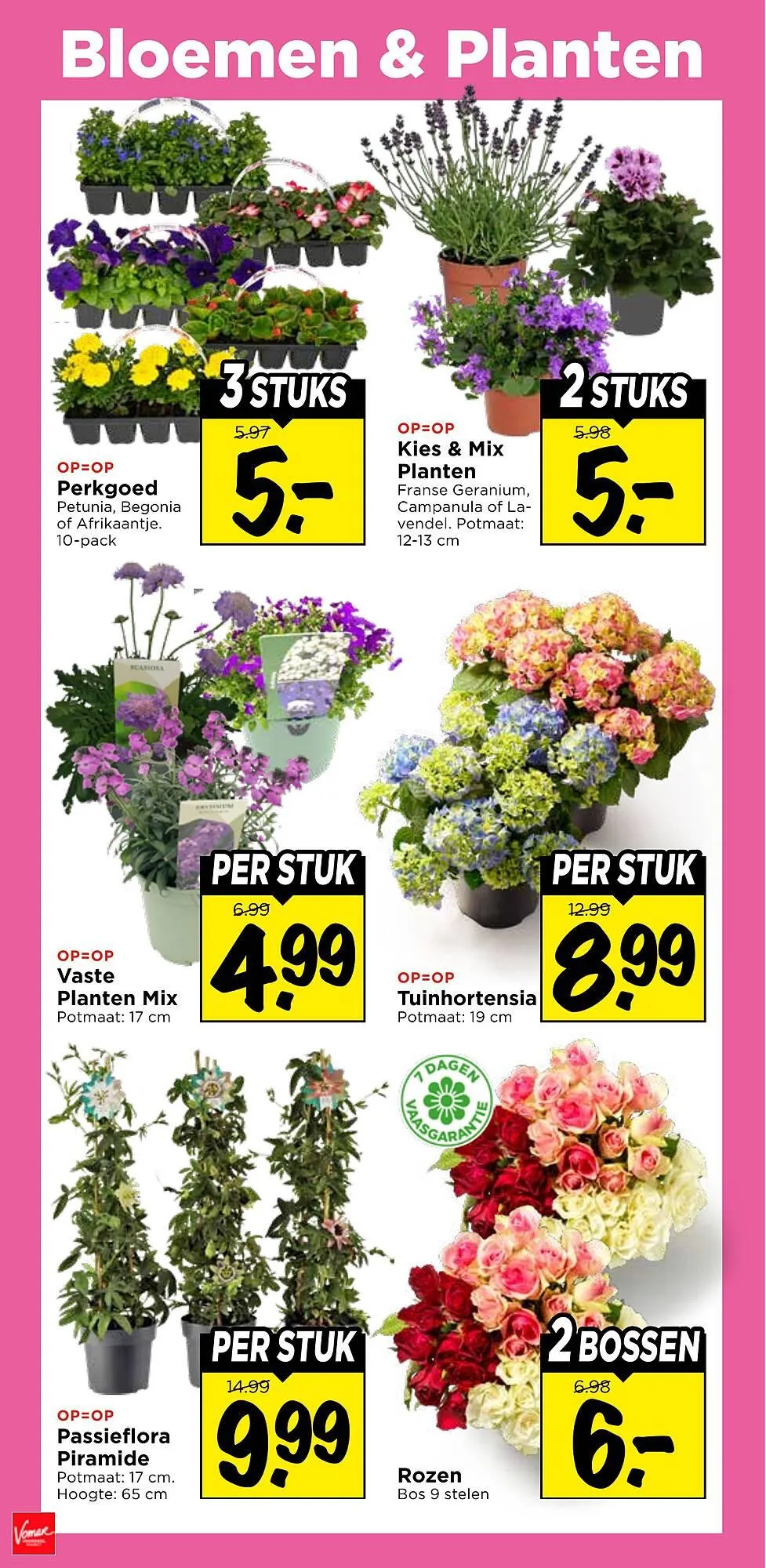 Vomar Voordeelmarkt folder van 26 april tot 2 mei 2026 - Folder pagina 33