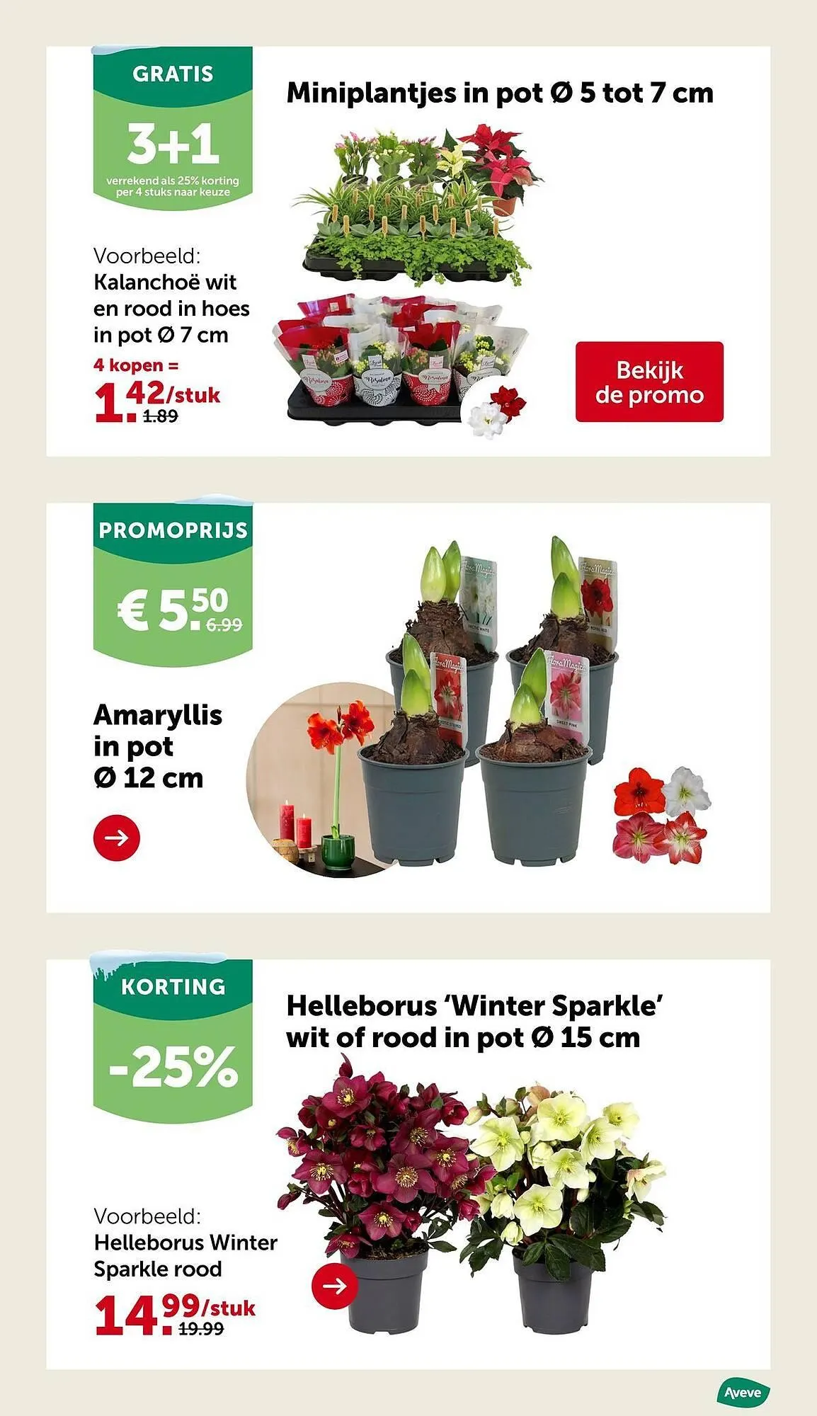 Aveve folder van 26 november tot 7 december 2025 - Folder pagina 24