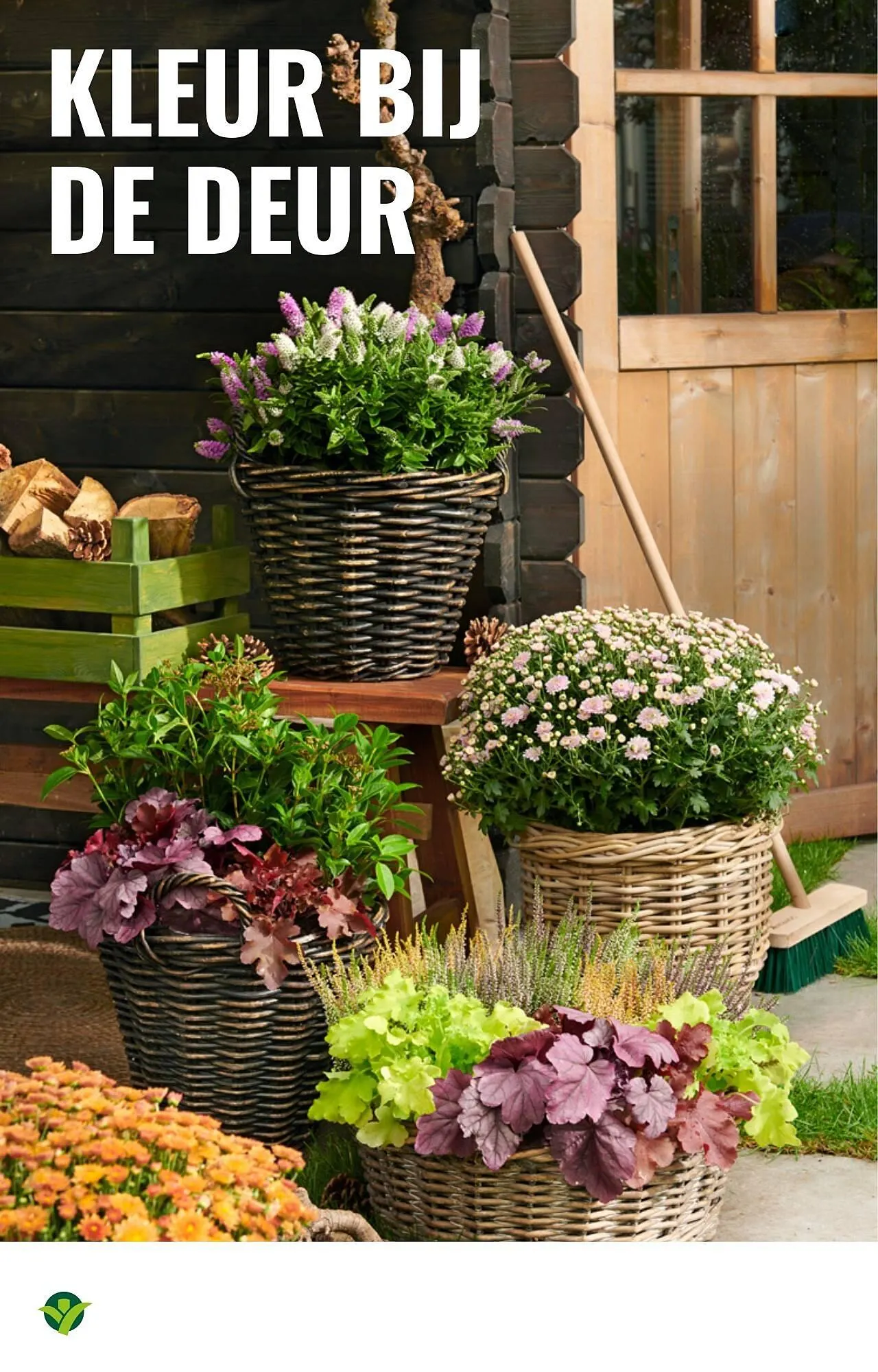 GroenRijk folder van 30 juli tot 12 augustus 2025 - Folder pagina 6