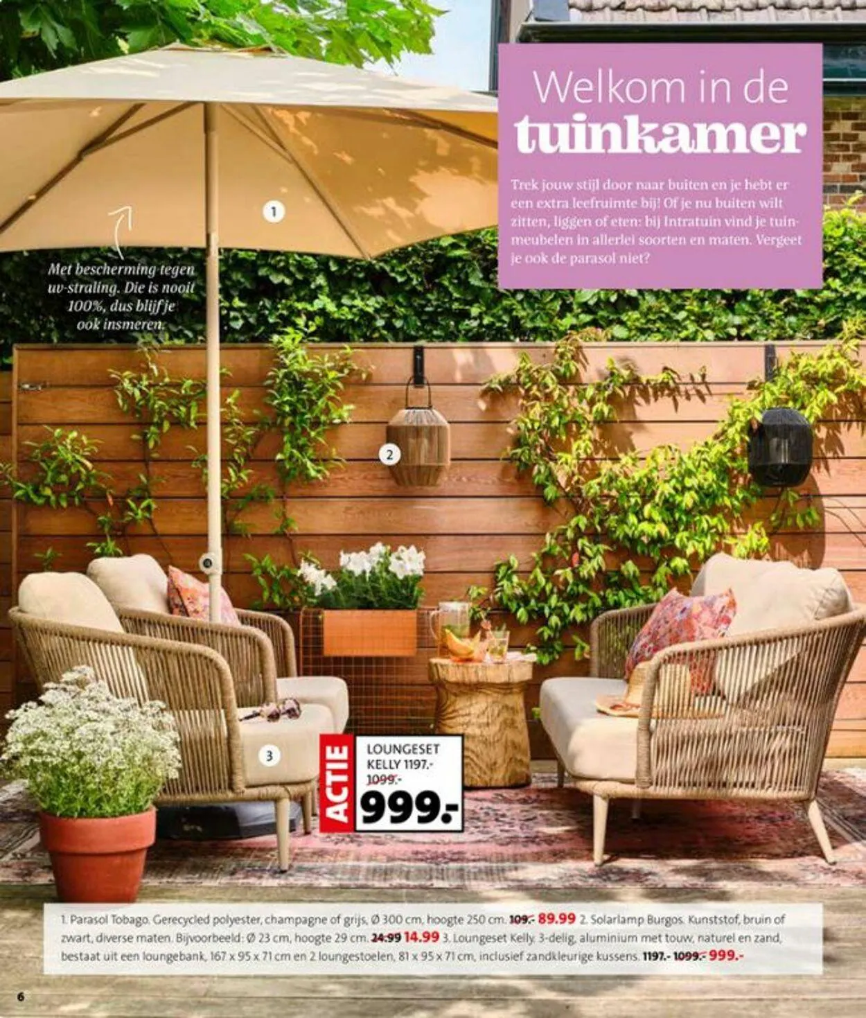 Intratuin van 19 mei tot 25 mei 2025 - Folder pagina 6