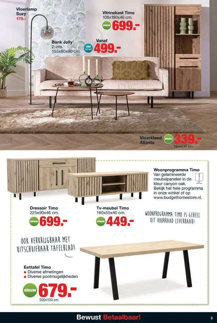 Budget Home Store folder van 20 augustus tot 3 september 2024 - Folder pagina 3