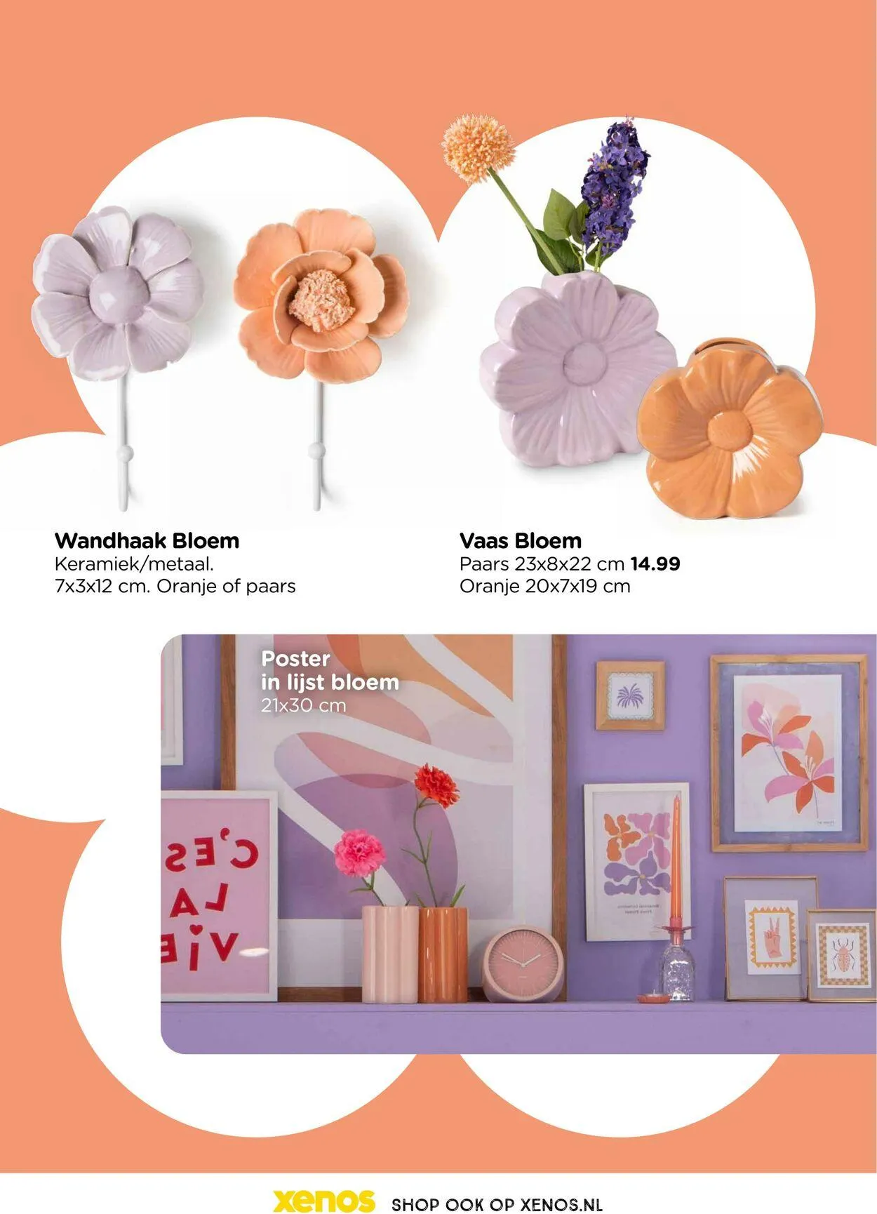 Xenos van 27 januari tot 27 maart 2025 - Folder pagina 19