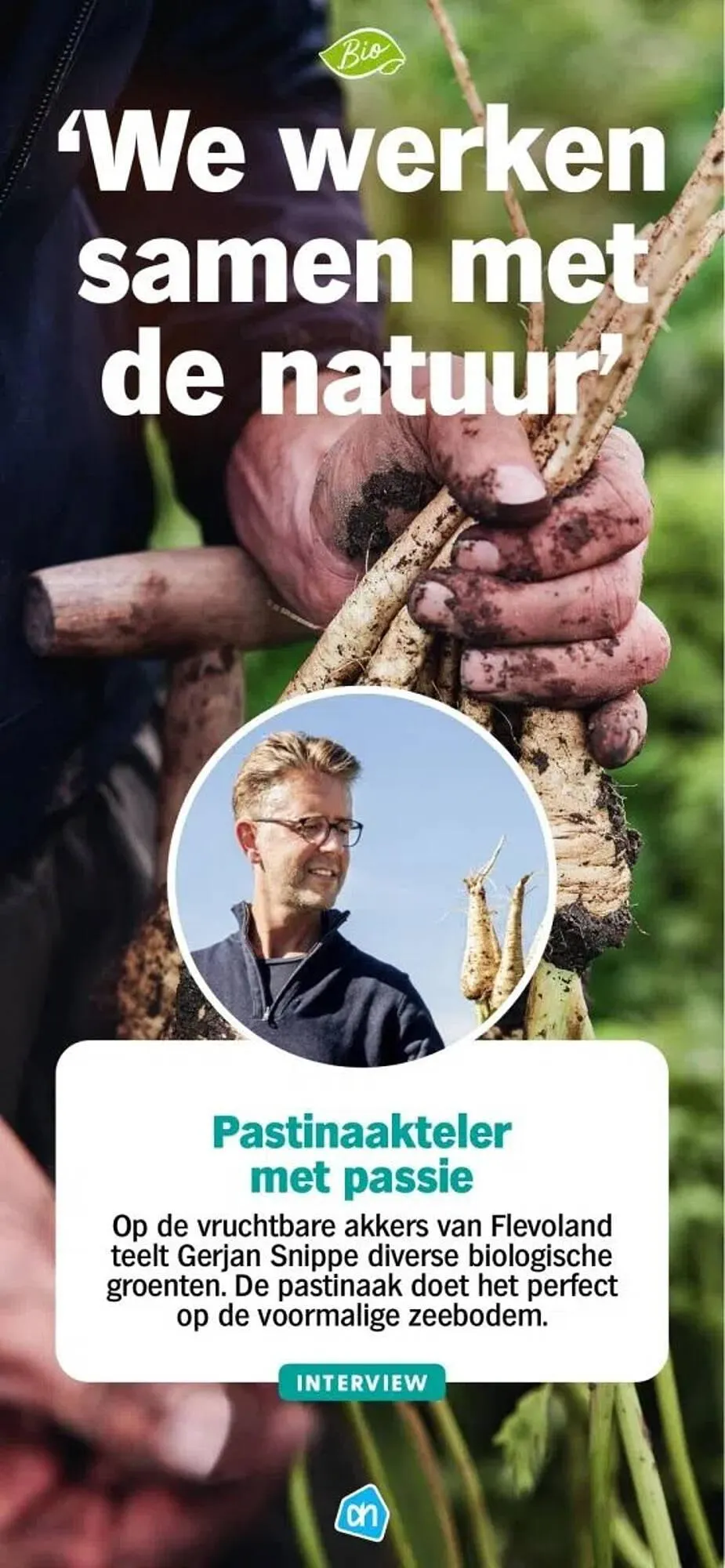 Albert Heijn folder van 8 november tot 7 september 2025 - Folder pagina 13