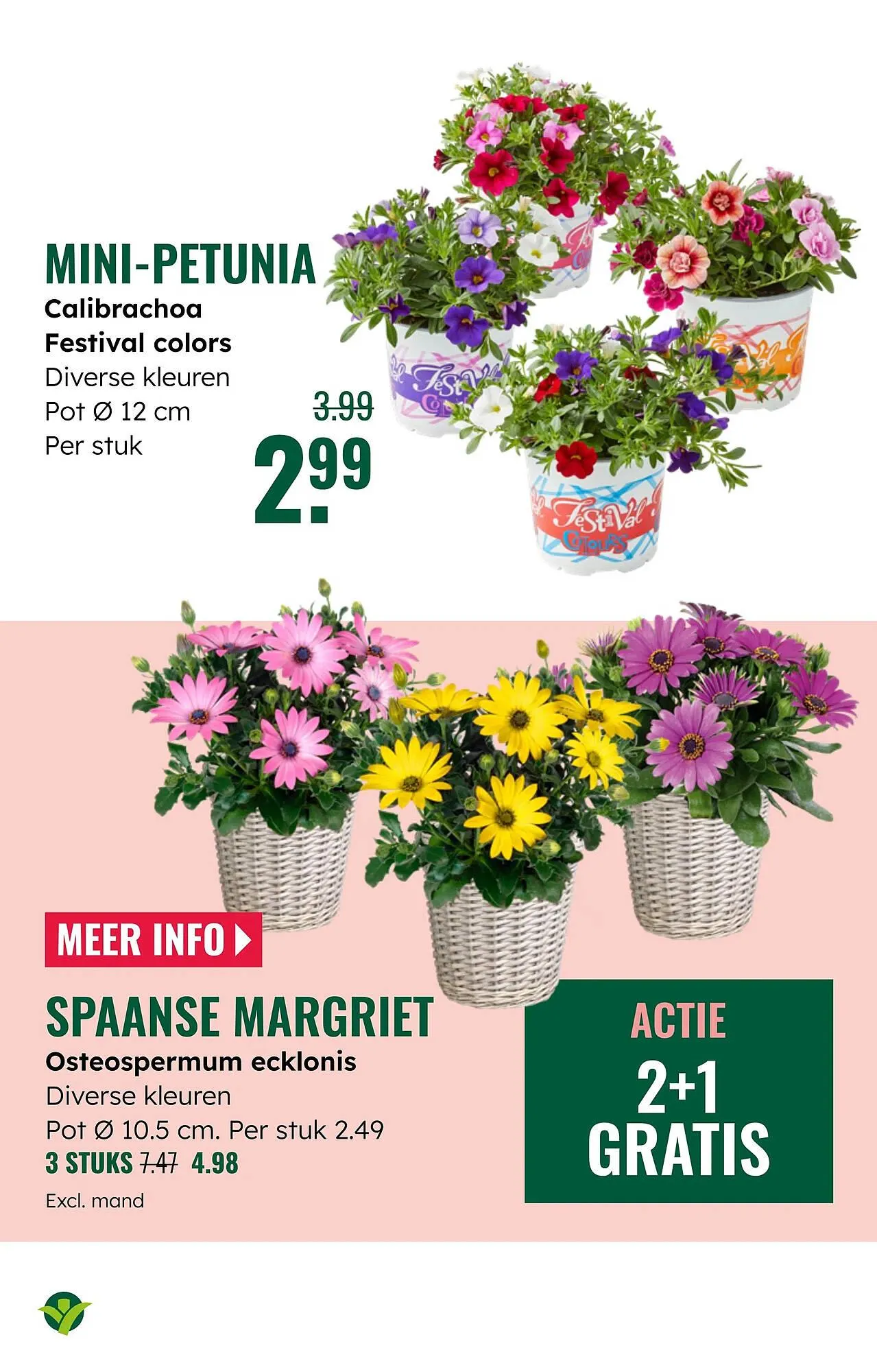 GroenRijk folder van 16 april tot 29 april 2025 - Folder pagina 6