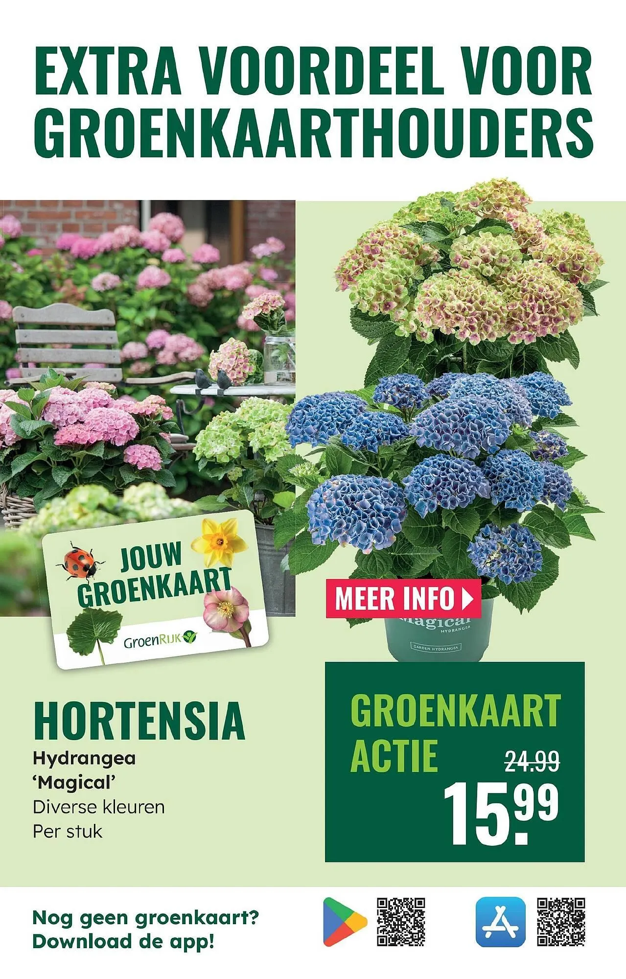 GroenRijk folder van 28 mei tot 3 juni 2025 - Folder pagina 17