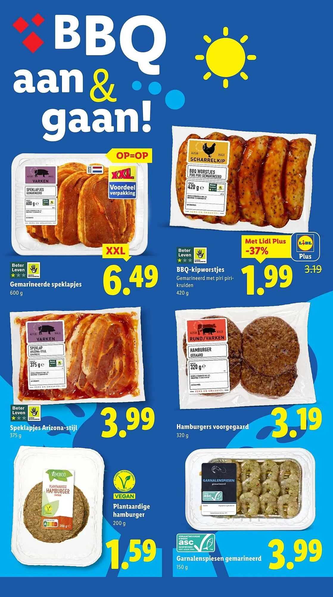 Lidl folder van 10 juni tot 15 juni 2025 - Folder pagina 13