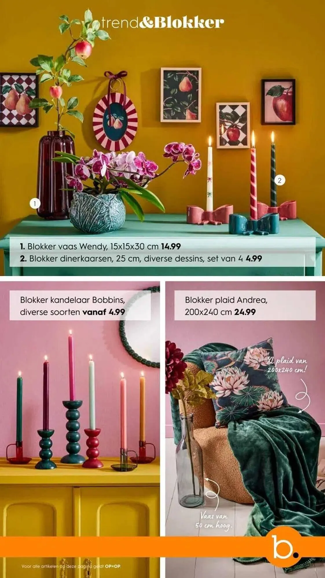 Blokker folder van 1 oktober tot 29 november 2024 - Folder pagina 16