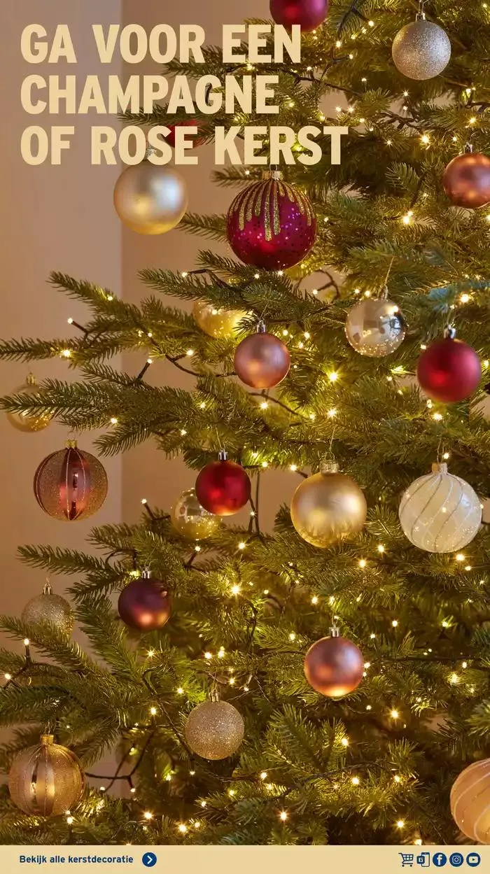 Kerstspecial 2024 van 30 september tot 31 december 2024 - Folder pagina 29