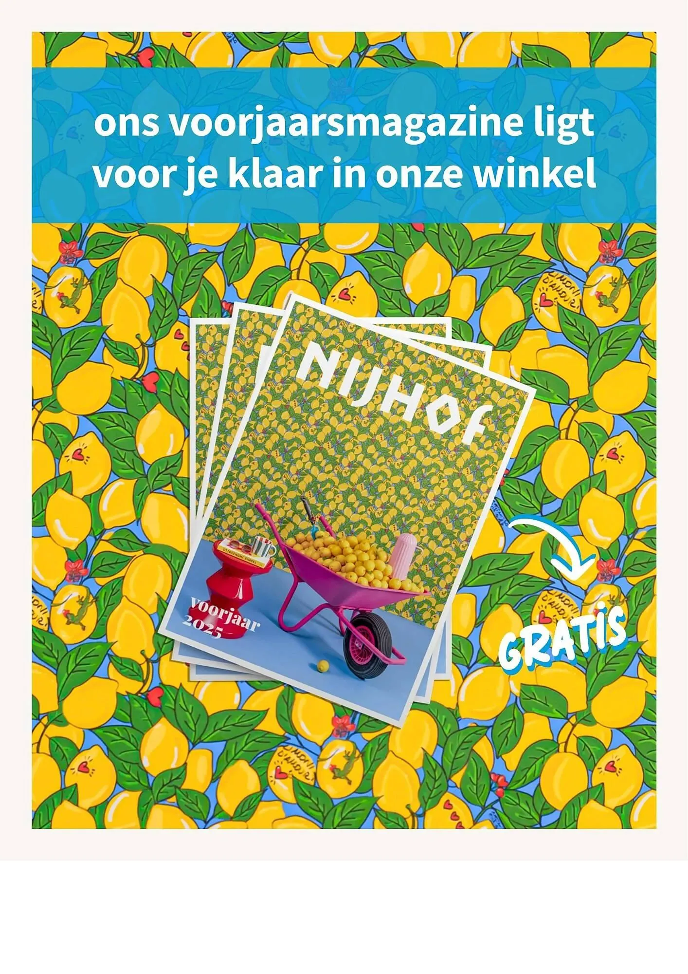 Nijhof folder van 12 mei tot 25 mei 2025 - Folder pagina 10